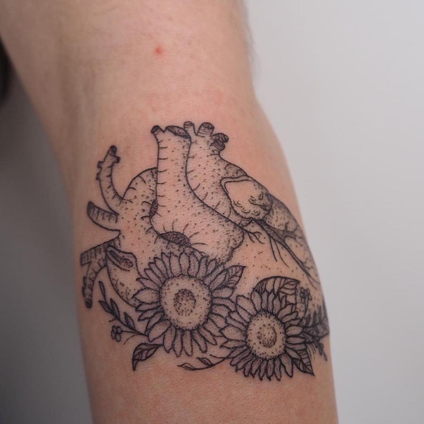 Tatuaje de flor en antebrazo, línea fina Sinkply Madrid