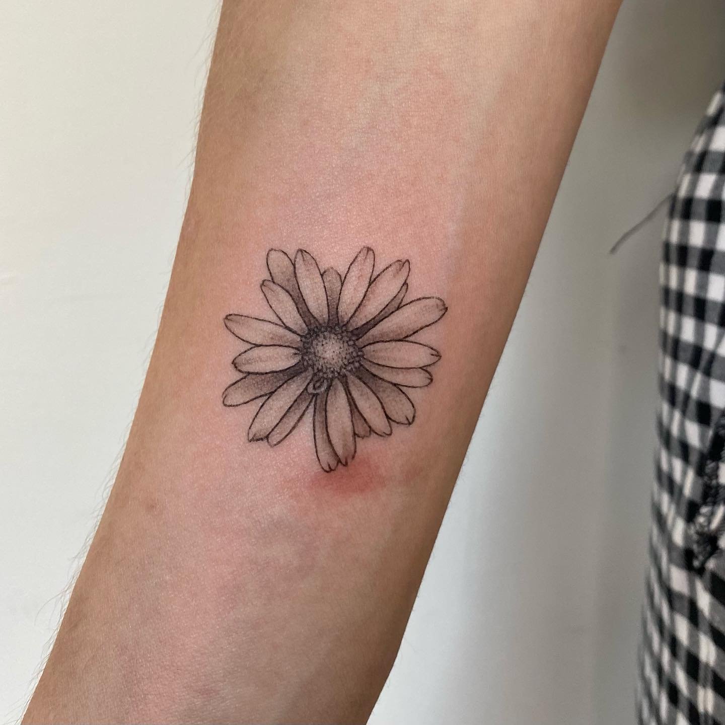 Tatuaje de flor en antebrazo, línea fina Sinkply Madrid