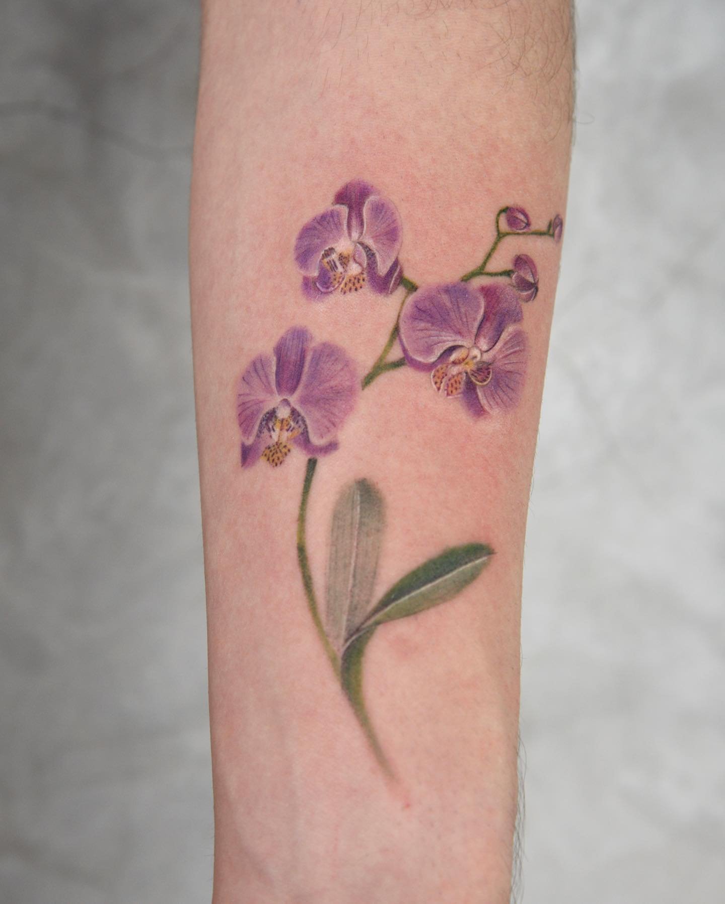 Tatuaje de flor en antebrazo, línea fina Sinkply Madrid