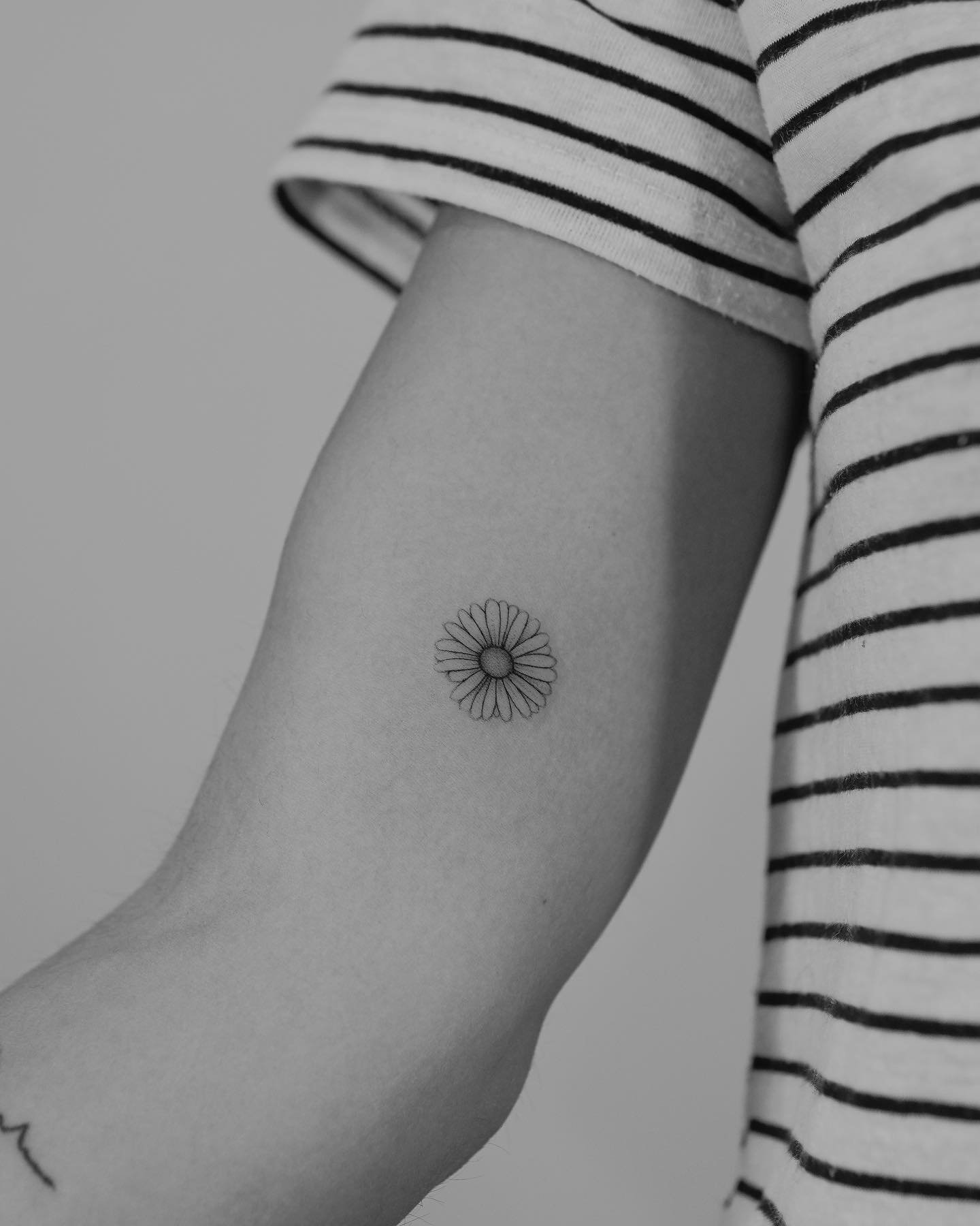 Tatuaje de flor en antebrazo, línea fina Sinkply Madrid