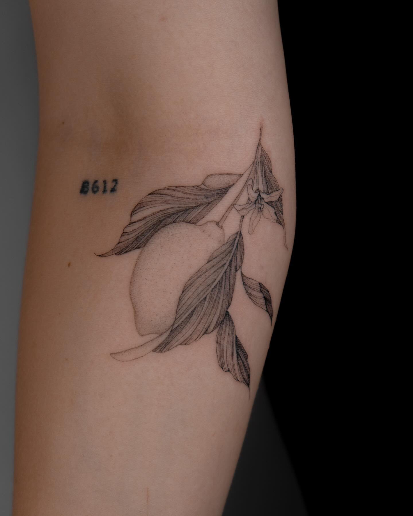 Tatuaje de flor en antebrazo, línea fina Sinkply Madrid