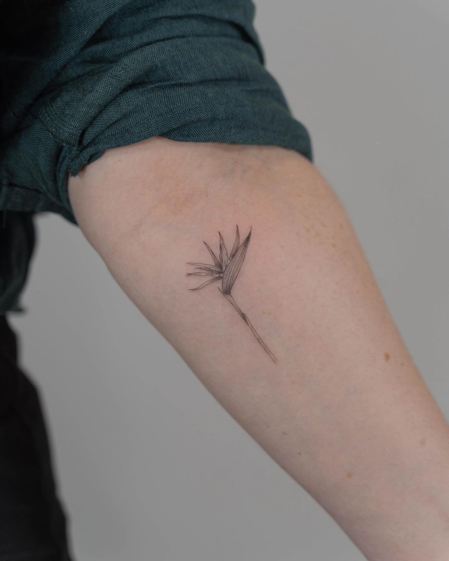 Tatuaje de flor en antebrazo, línea fina Sinkply Madrid