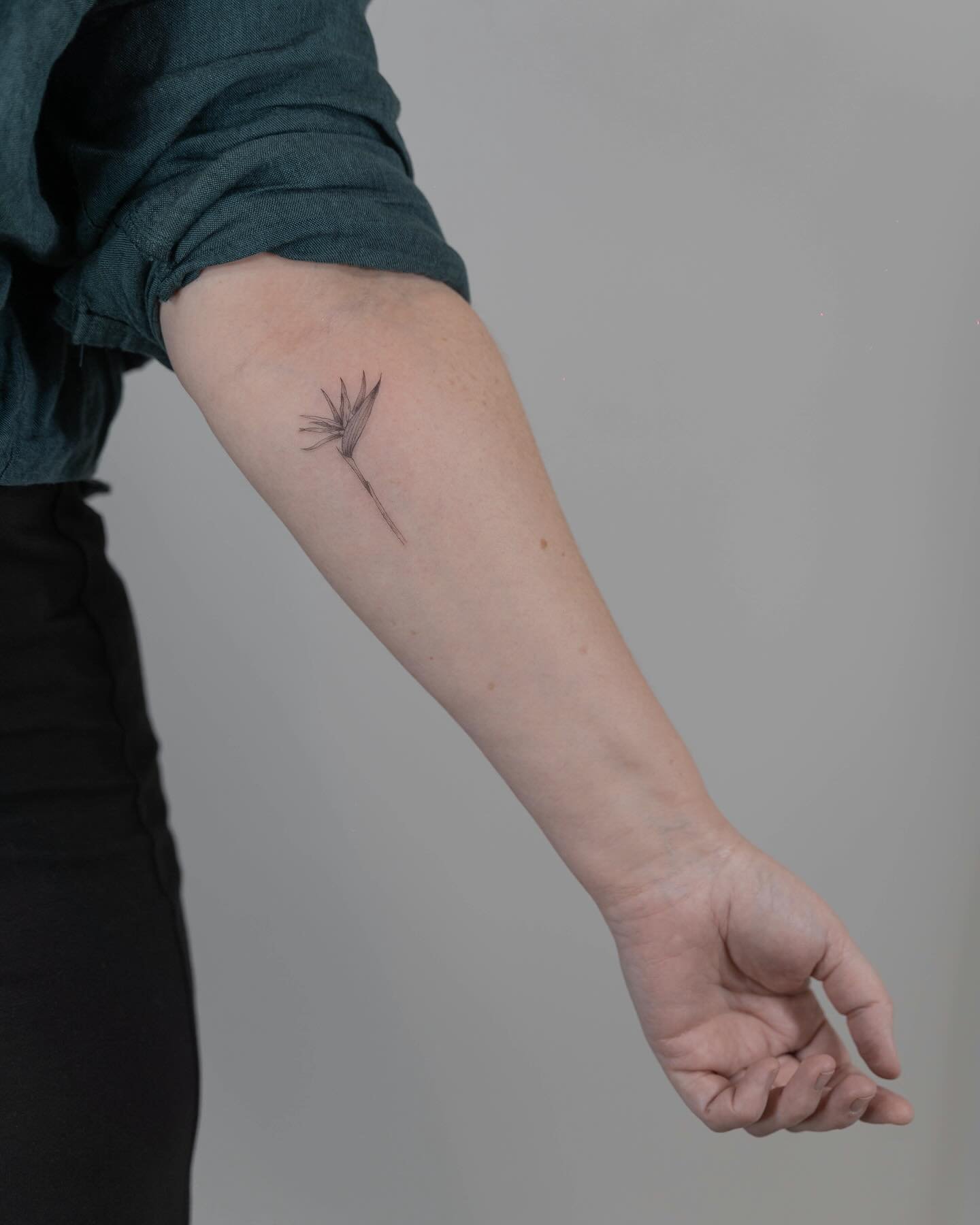 Tatuaje de flor en antebrazo, línea fina Sinkply Madrid
