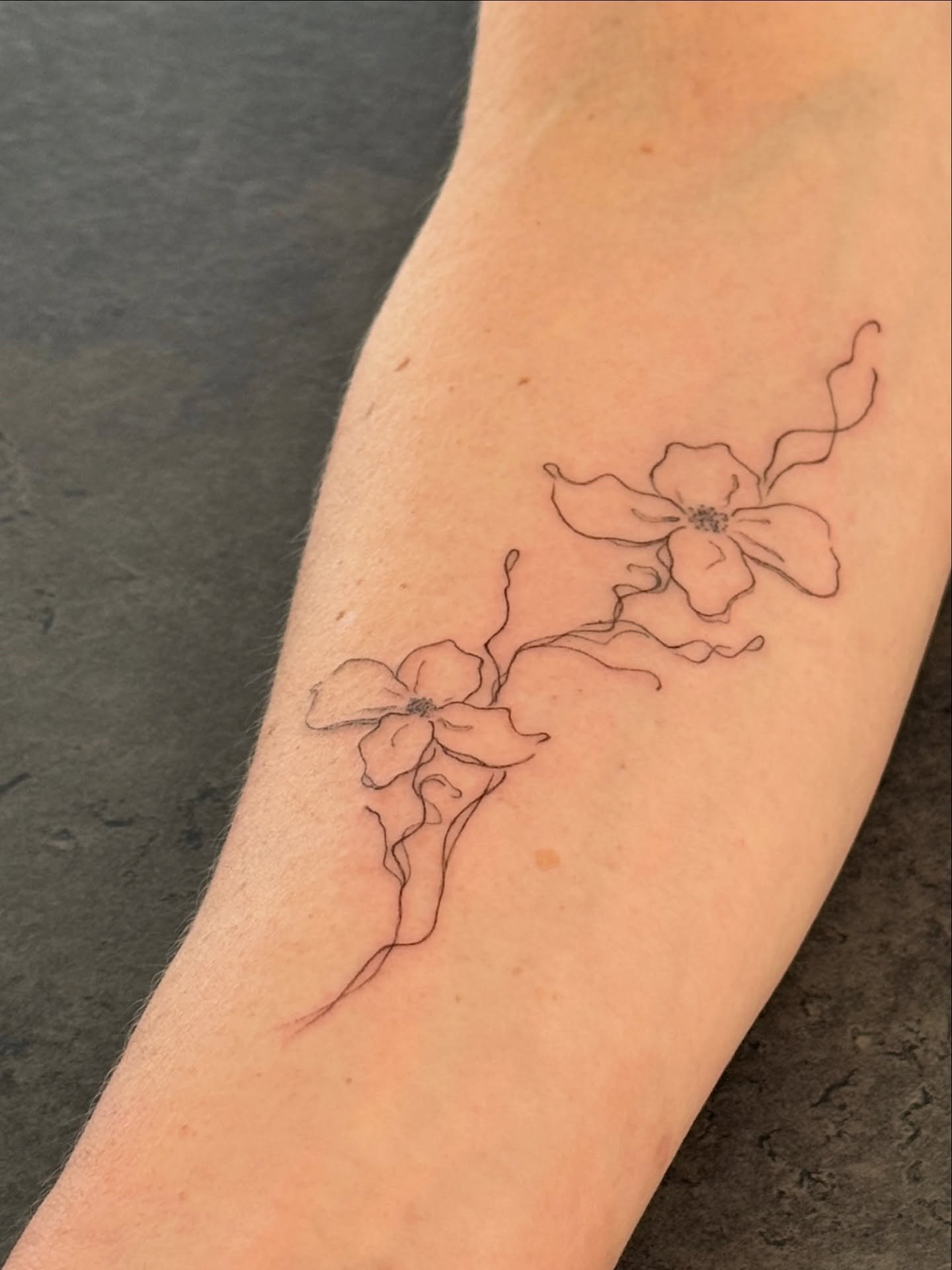 Tatuaje de flor en antebrazo, línea fina Sinkply Madrid