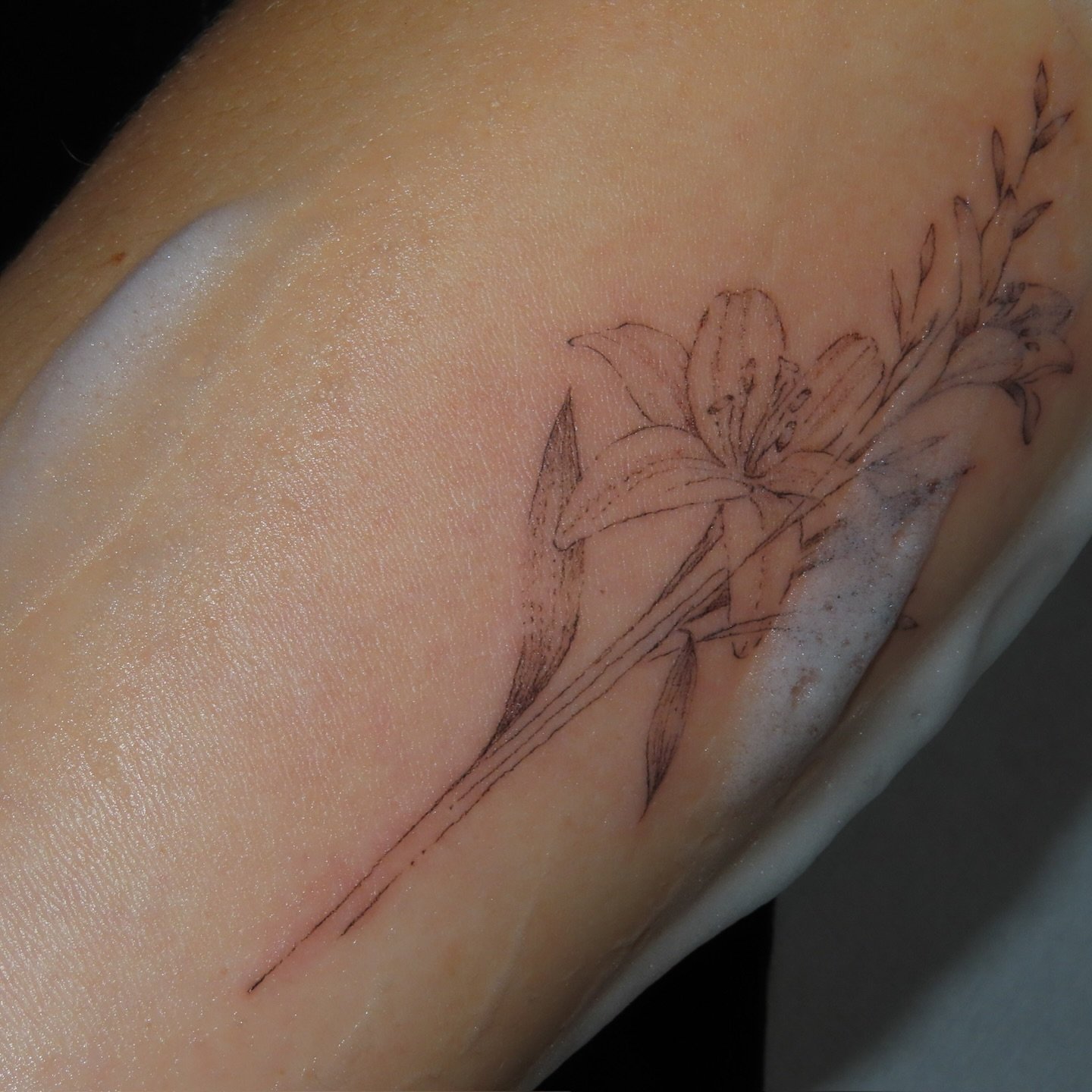 Tatuaje de flor en antebrazo, línea fina Sinkply Madrid
