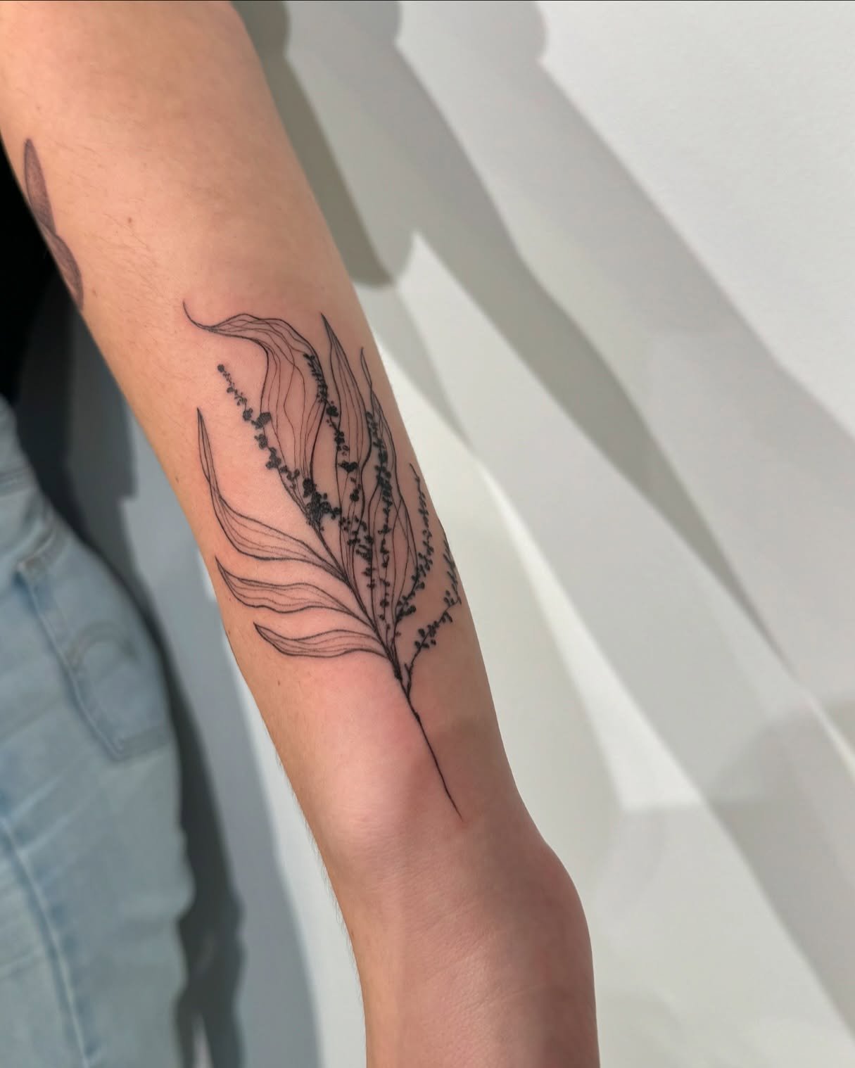 Tatuaje de flor en antebrazo, línea fina Sinkply Madrid