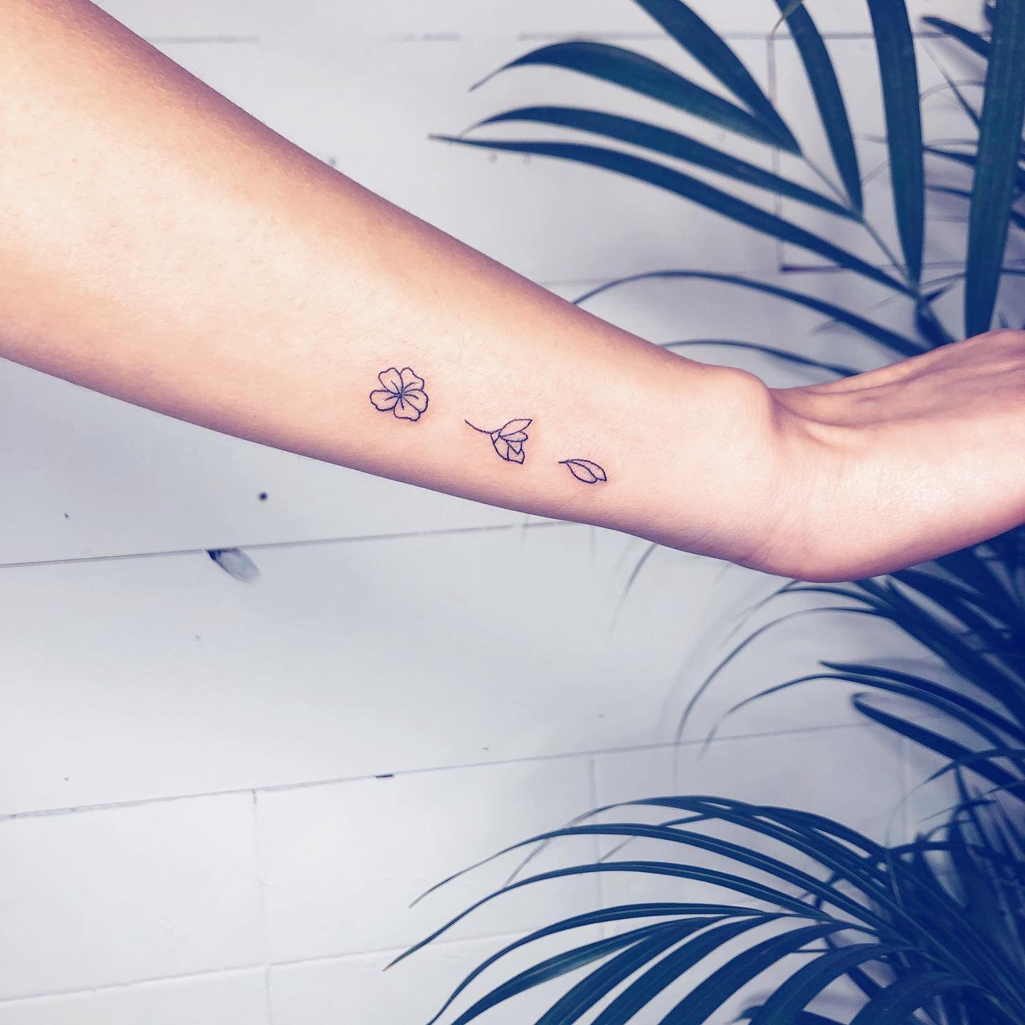Tatuaje de flor en antebrazo, línea fina Sinkply Madrid