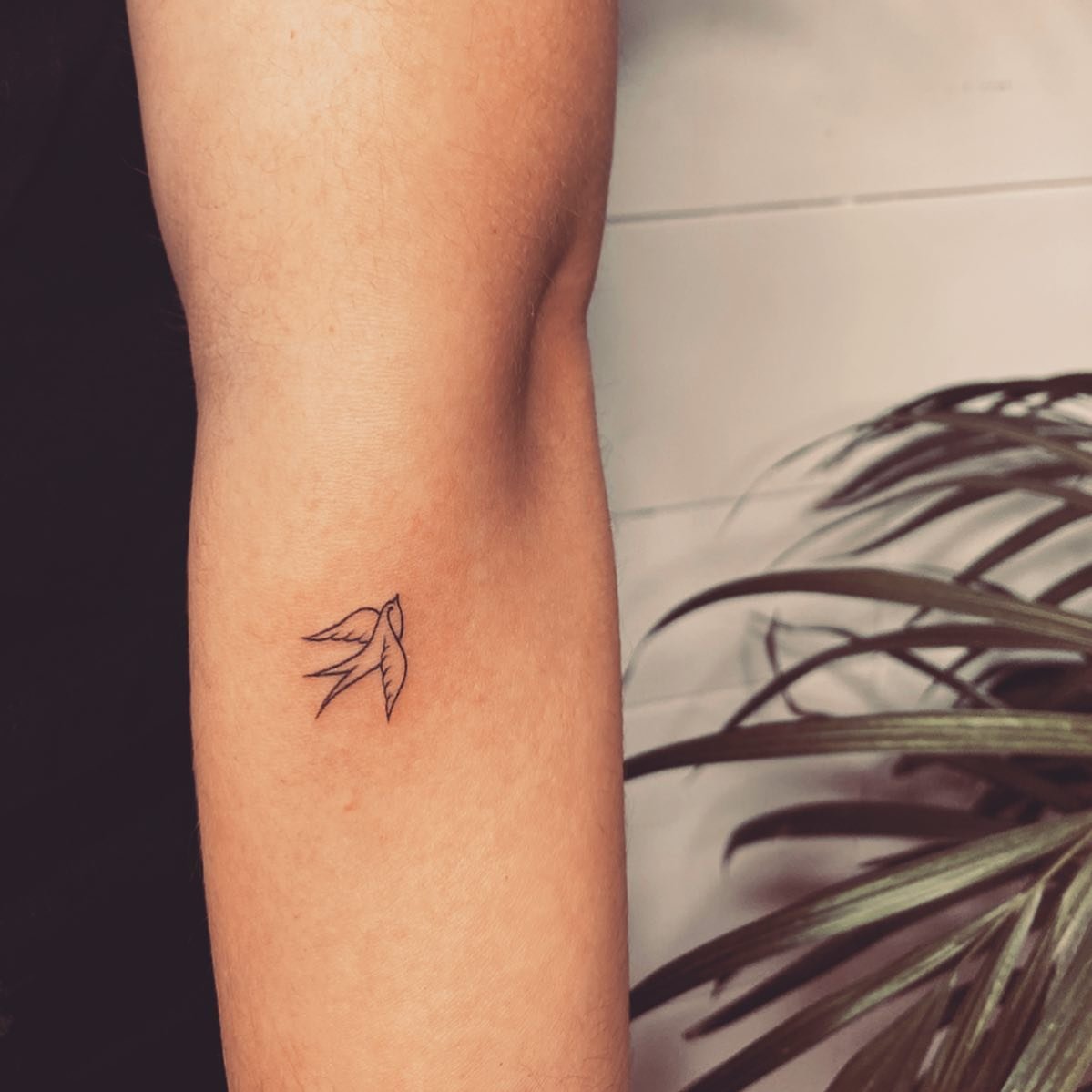 Tatuaje de flor en antebrazo, línea fina Sinkply Madrid