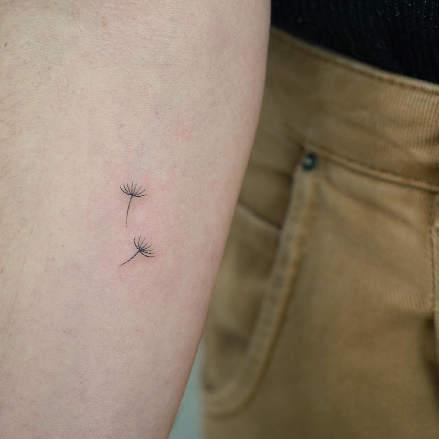 Tatuaje de flor en antebrazo, línea fina Sinkply Madrid
