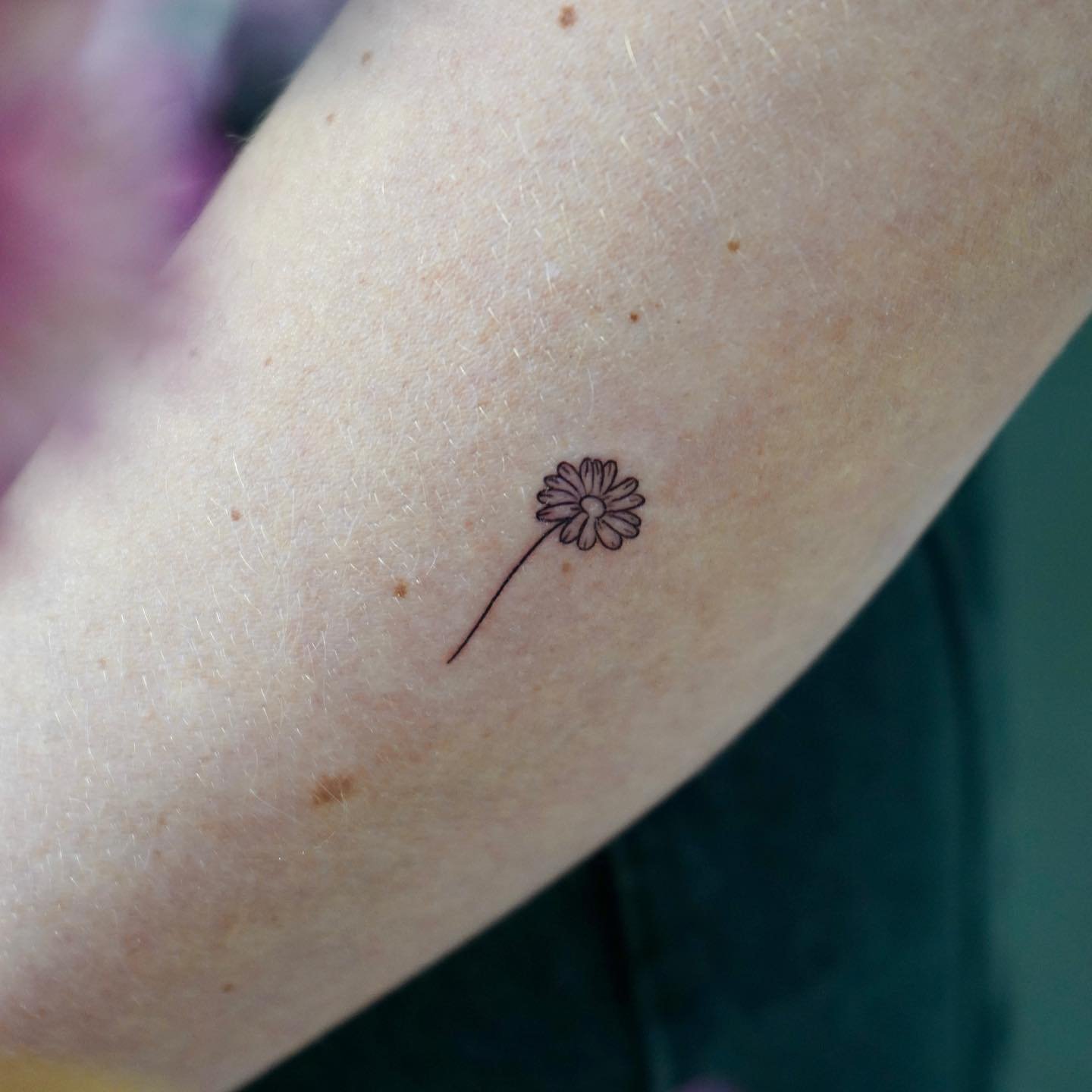 Tatuaje de flor en antebrazo, línea fina Sinkply Madrid