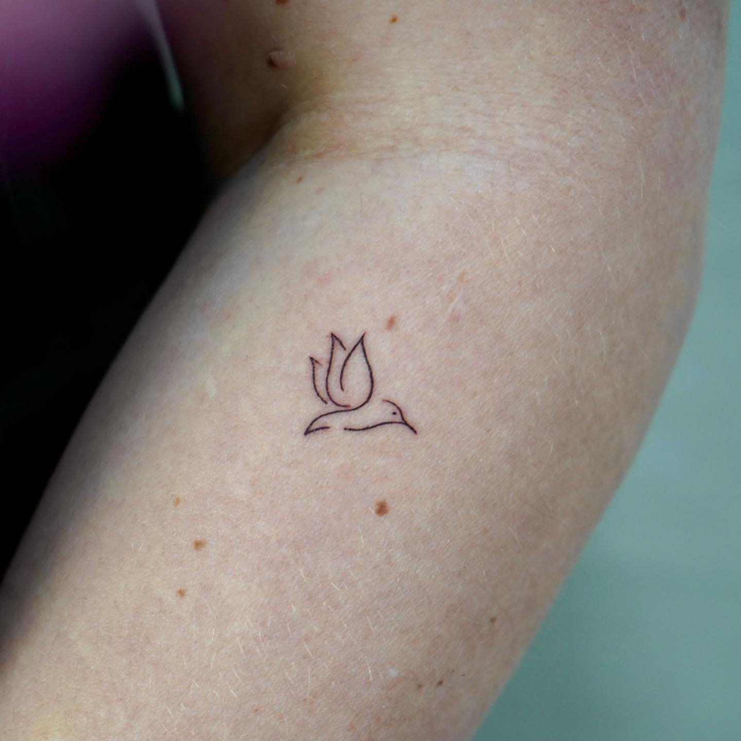 Tatuaje de flor en antebrazo, línea fina Sinkply Madrid