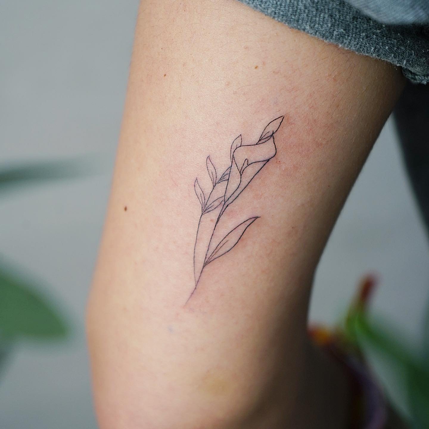 Tatuaje de flor en antebrazo, línea fina Sinkply Madrid
