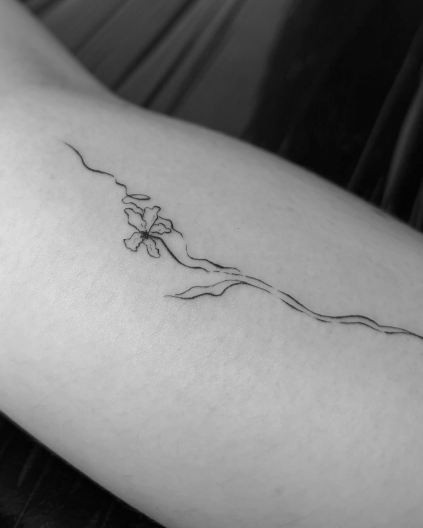 Tatuaje de flor en antebrazo, línea fina Sinkply Madrid