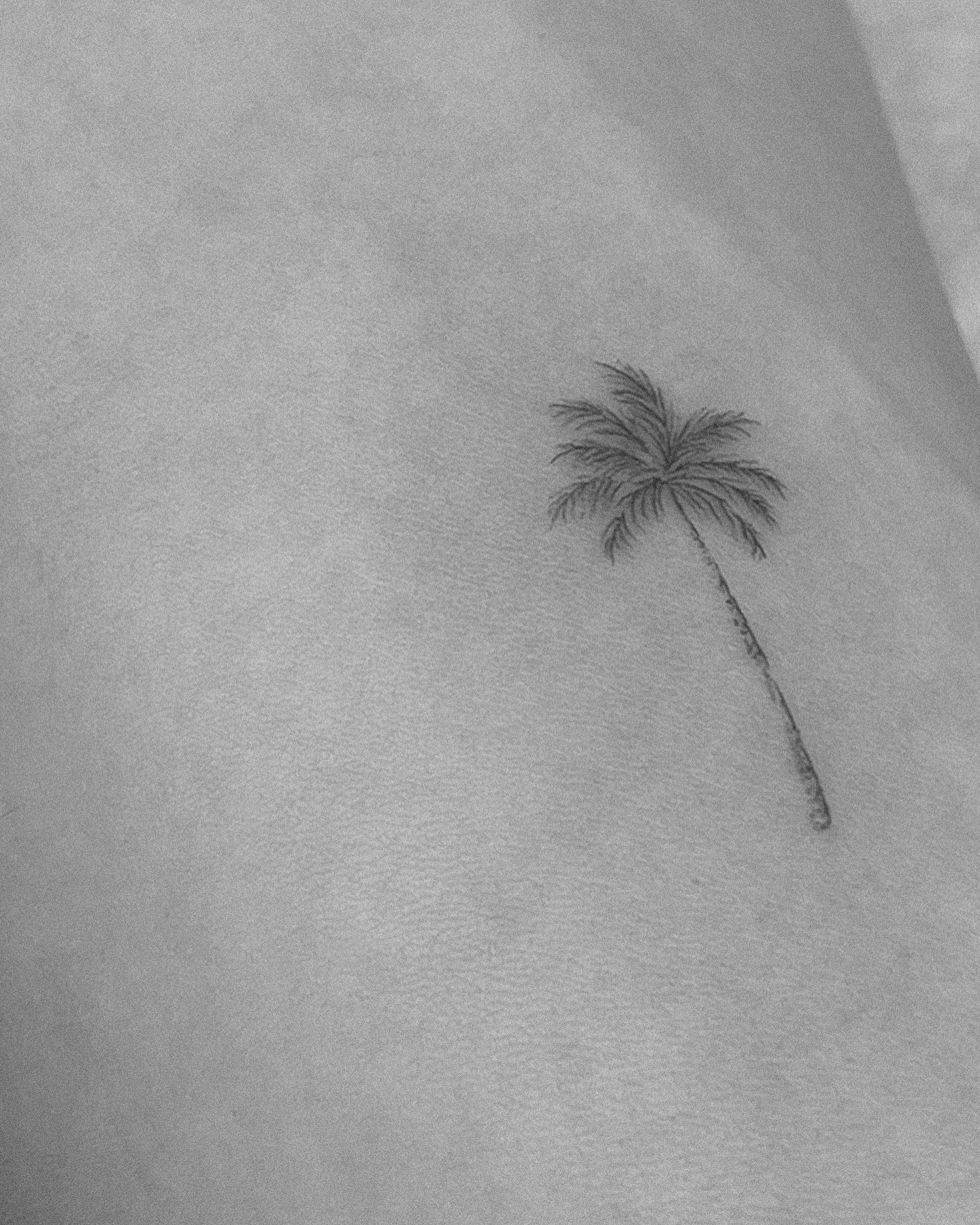 Tatuaje de flor en antebrazo, línea fina Sinkply Madrid