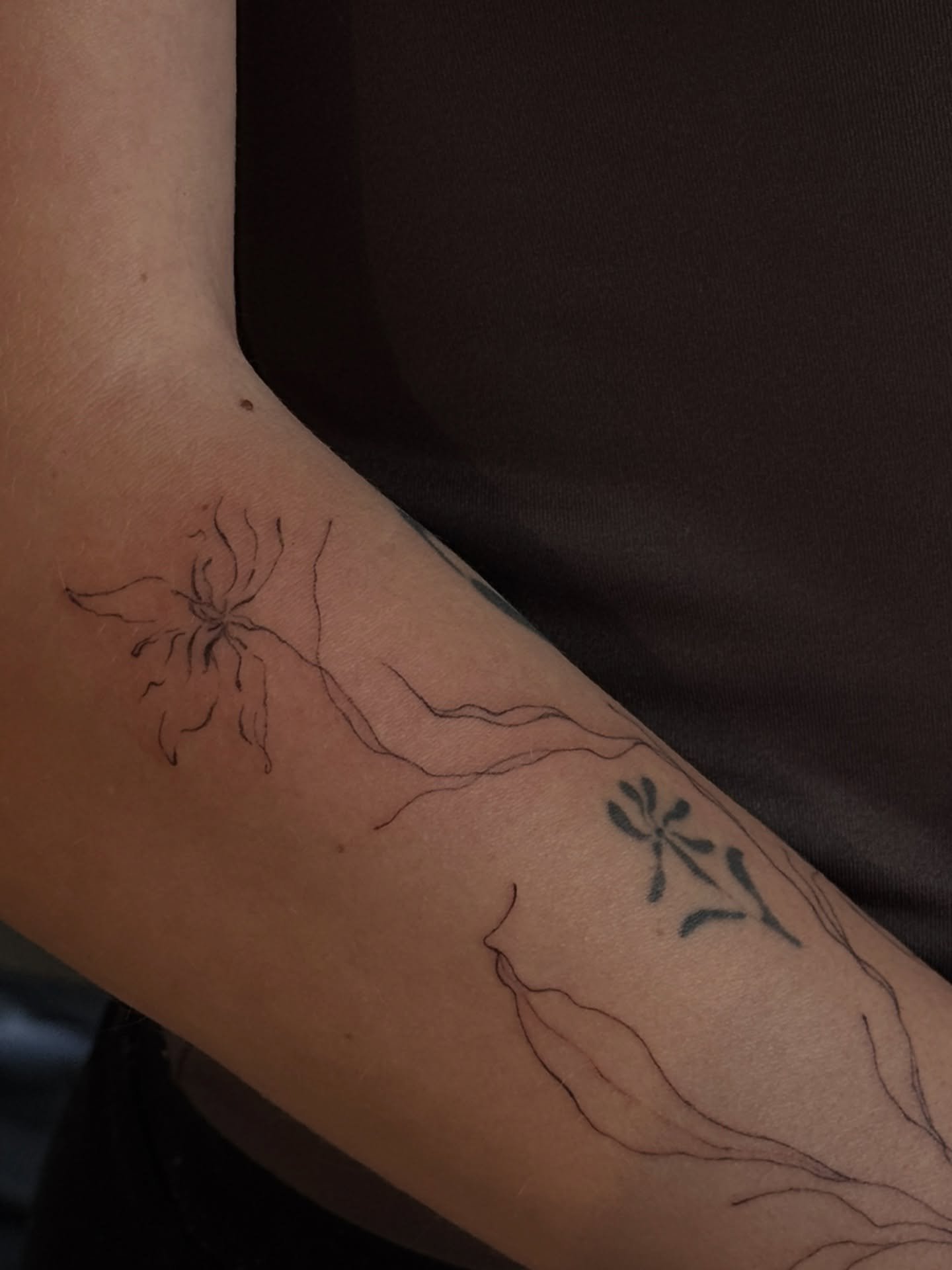 Tatuaje de flor en antebrazo, línea fina Sinkply Madrid