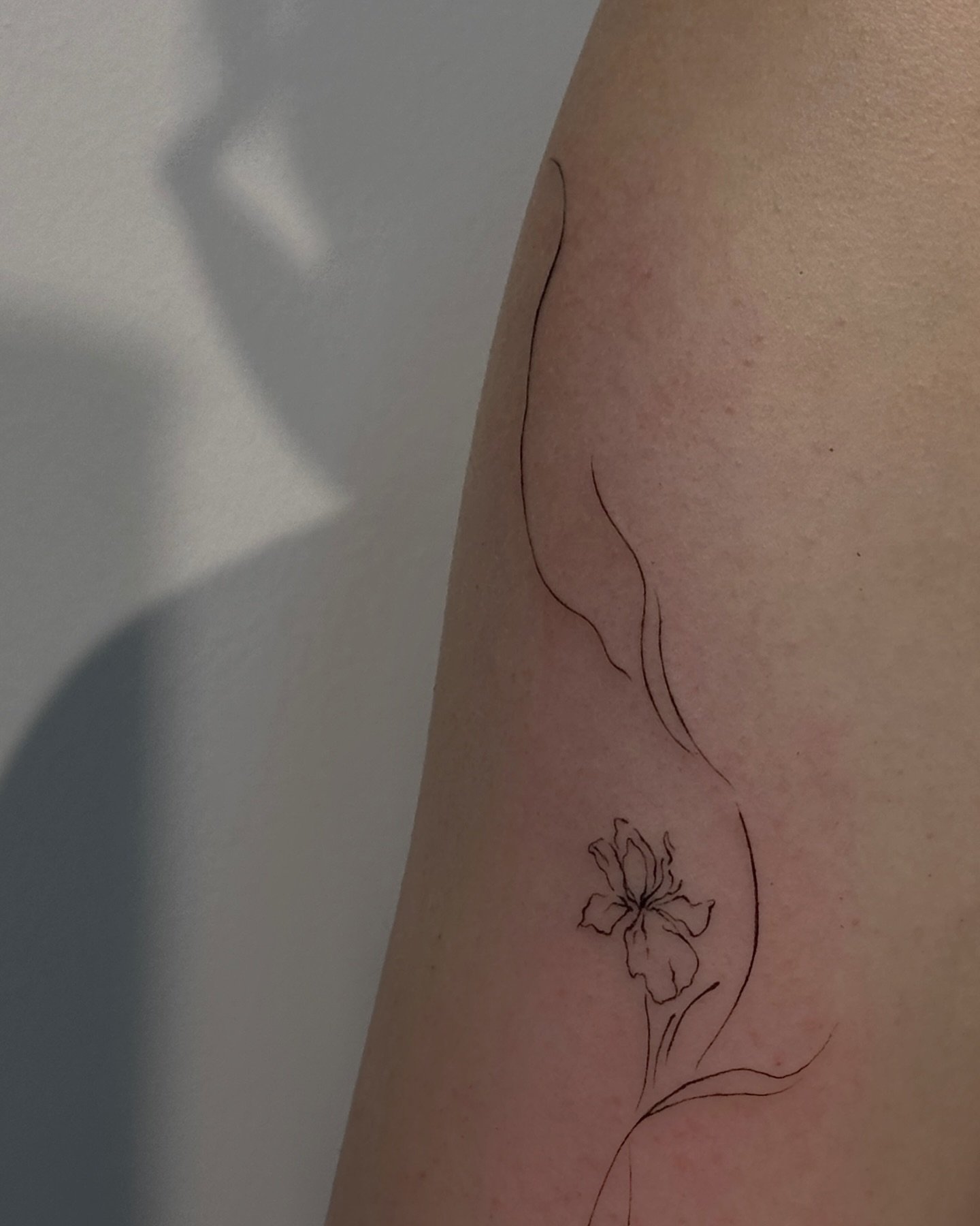 Tatuaje de flor en antebrazo, línea fina Sinkply Madrid