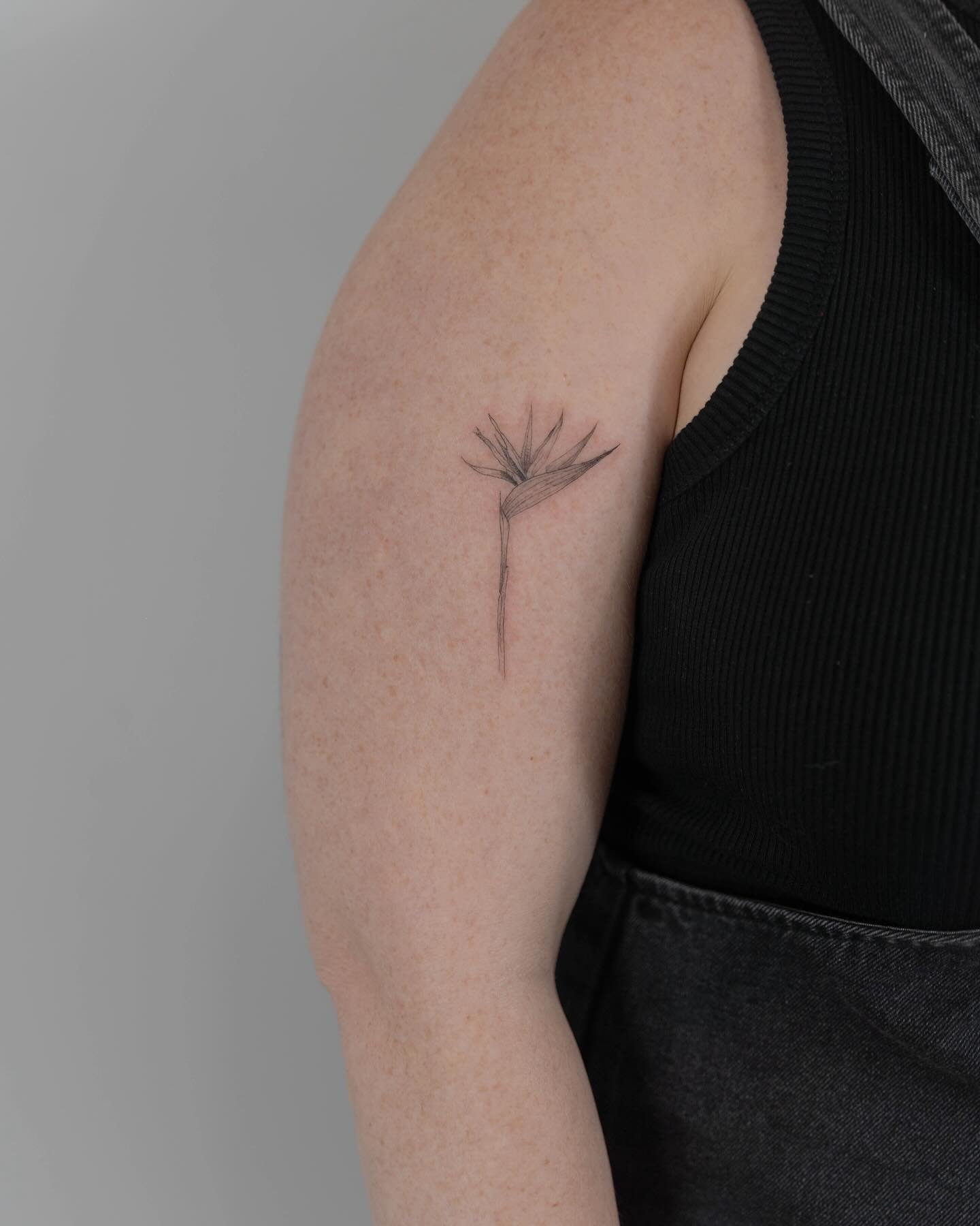 Tatuaje de flor en brazo, línea fina Sinkply Madrid