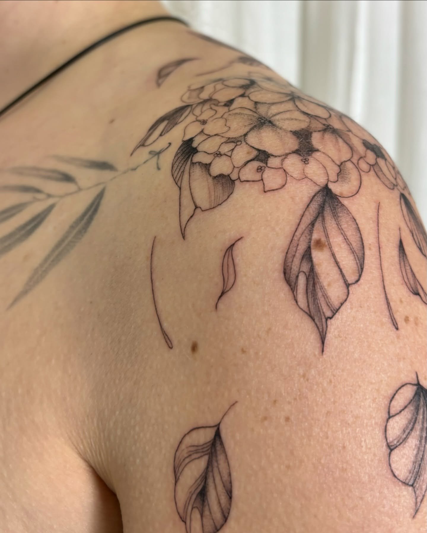 Tatuaje de flor en hombro, línea fina Sinkply Madrid