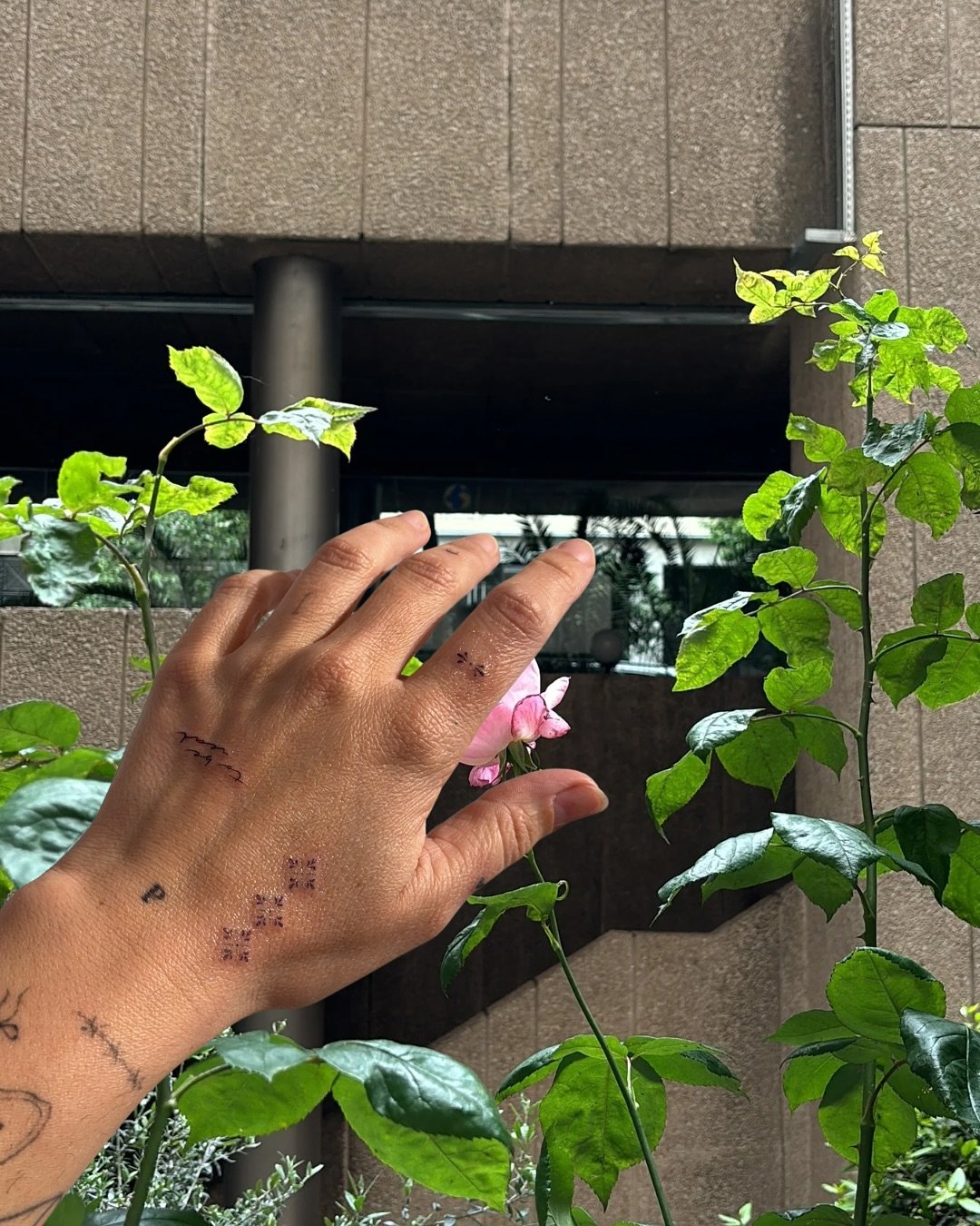 Tatuaje de flor en mano, línea fina Sinkply Madrid