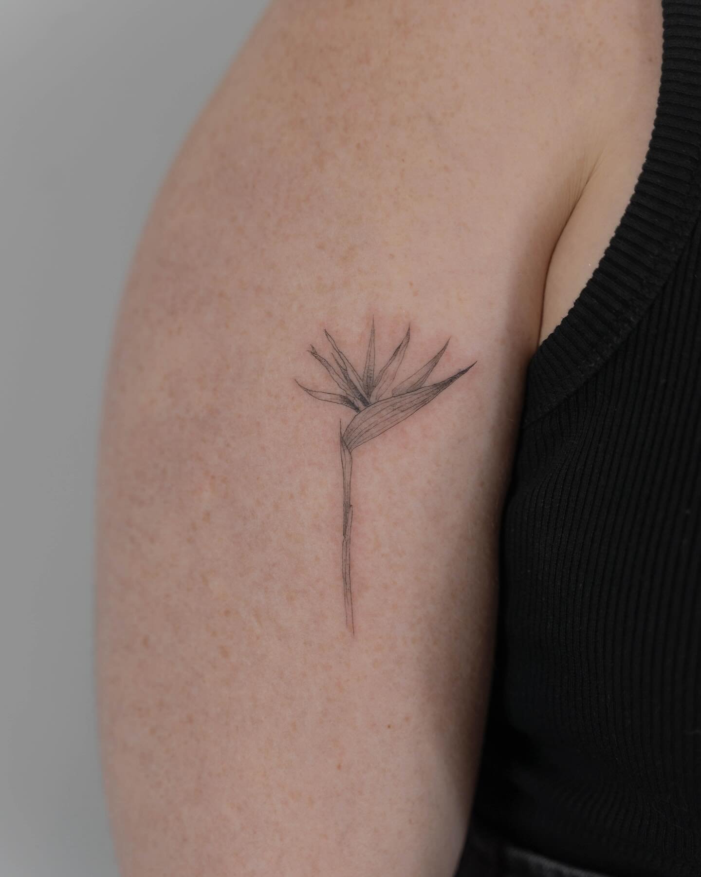 Tatuaje de flor en muslo, línea fina Sinkply Madrid