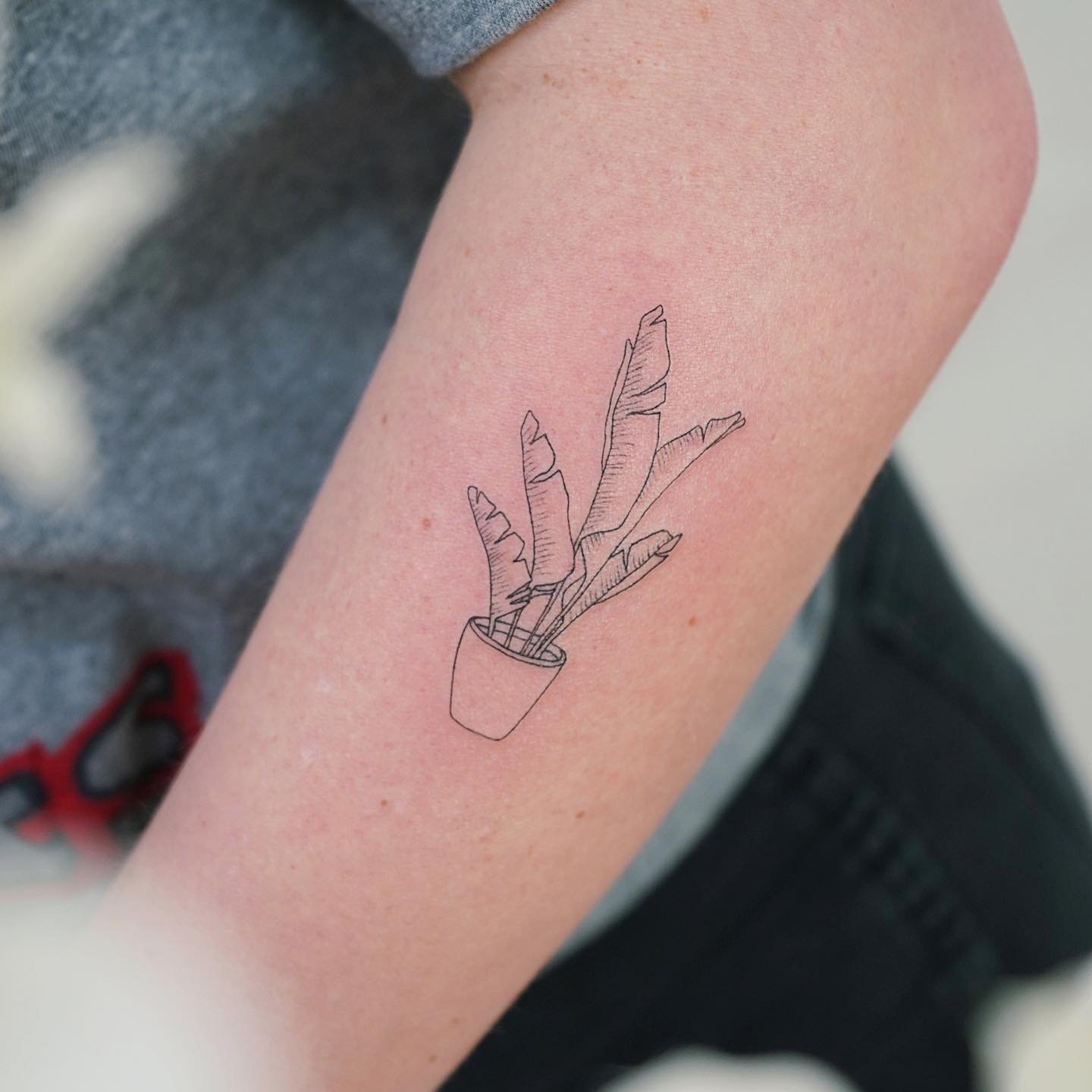 Tatuaje de rama en antebrazo, línea fina Sinkply Madrid