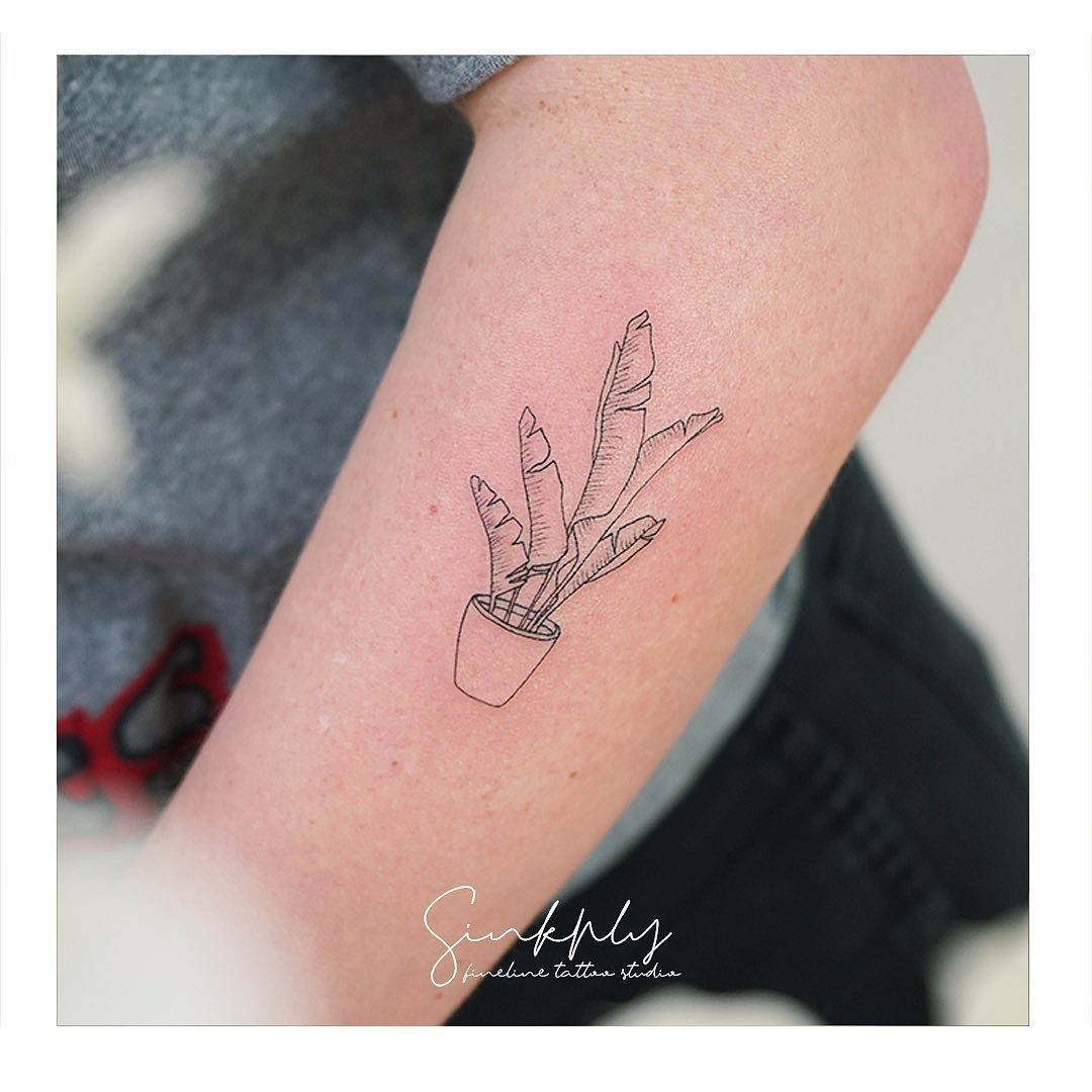 Tatuaje de rama en antebrazo, línea fina Sinkply Madrid