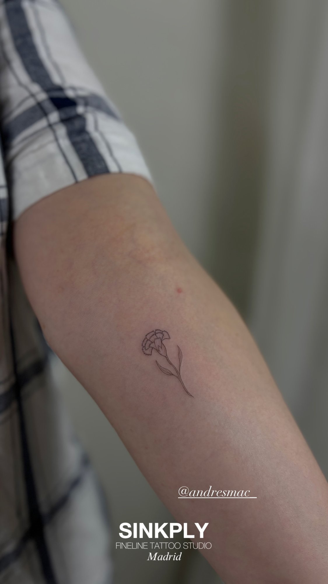 Tatuaje de clavel fineline delicado en antebrazo, línea fina
