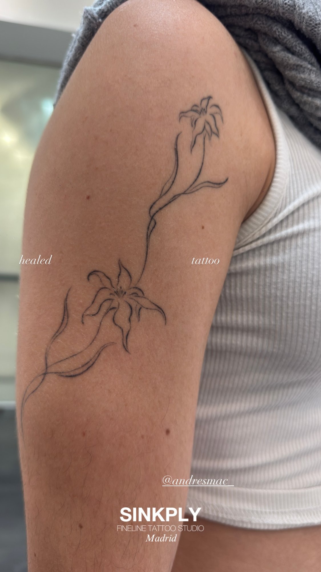 Tatuaje de dos lirios fineline tallo en brazo, línea fina