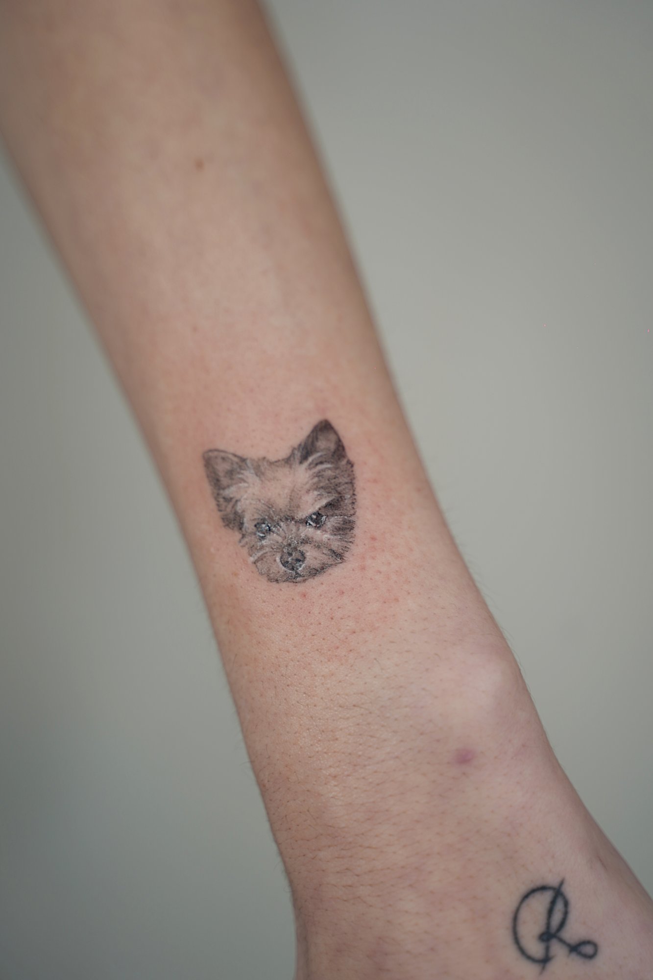 Tatuaje de flor simple en zona desconocida, línea fina