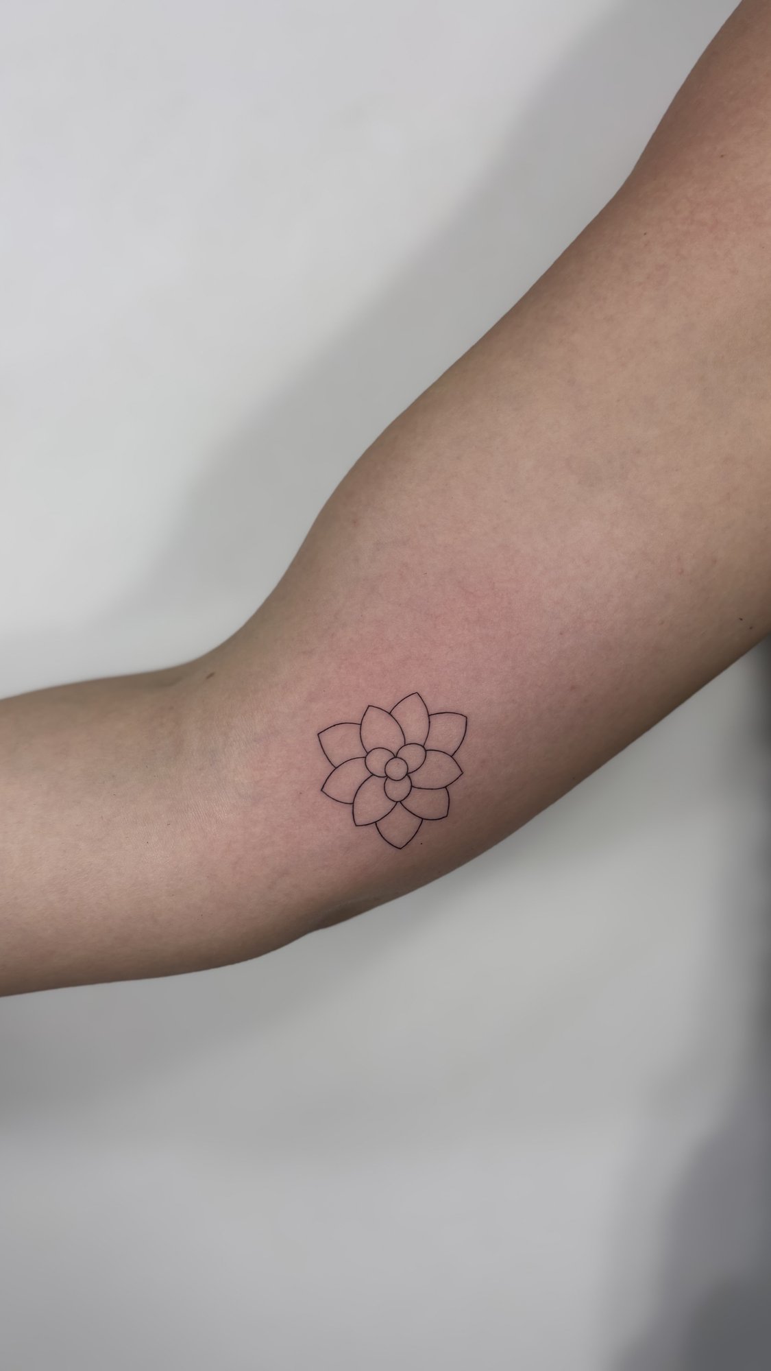 Tatuaje de flor suculenta linea fina en brazo, línea fina