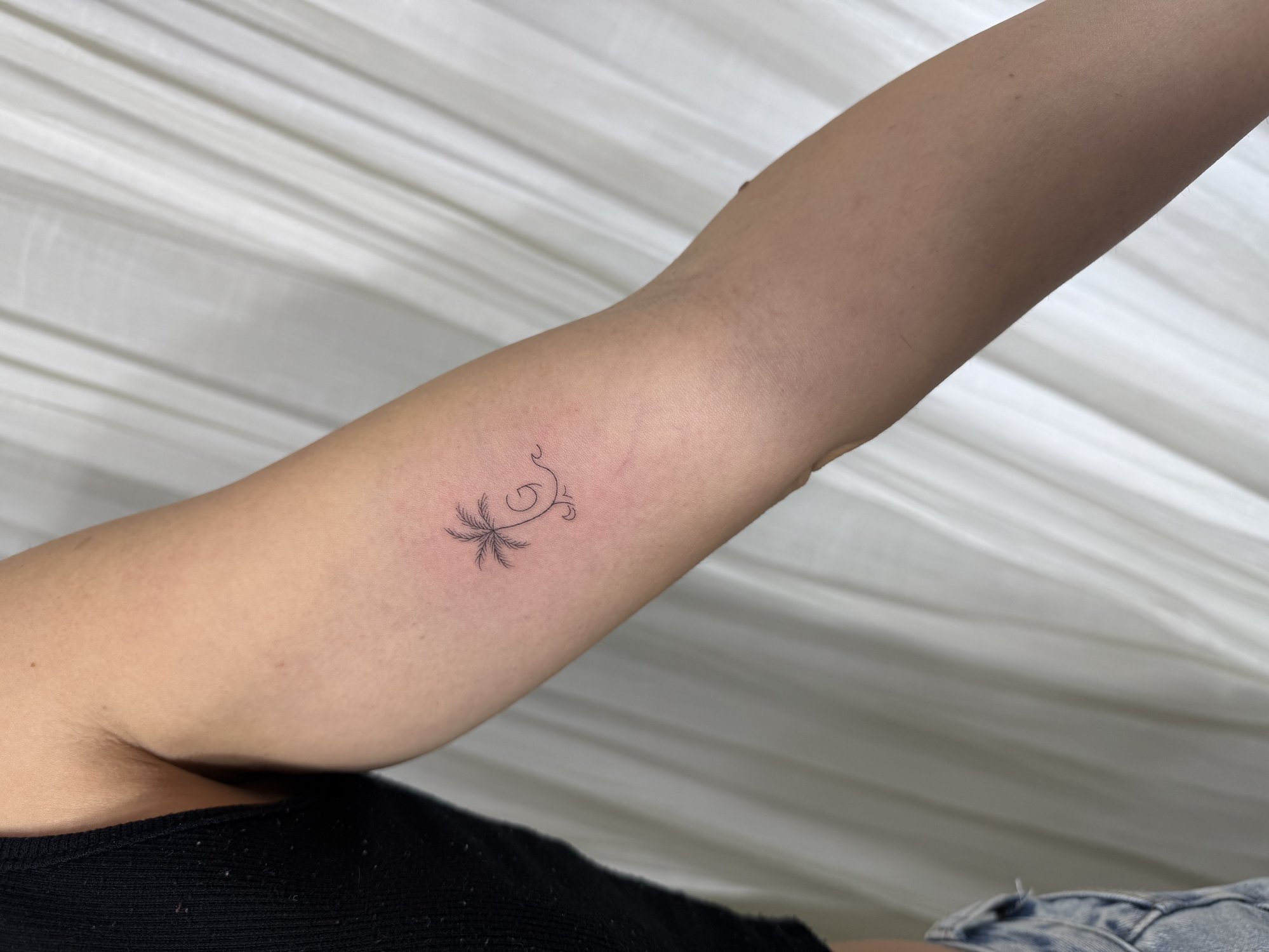 Tatuaje de palmera con olas playa en antebrazo, línea fina