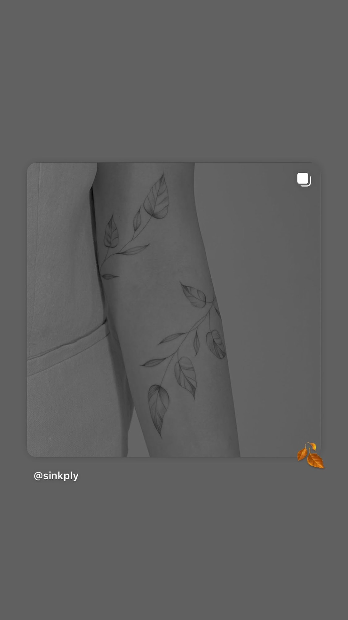 Tatuaje de ramas con hojas envolventes en antebrazo, línea fina