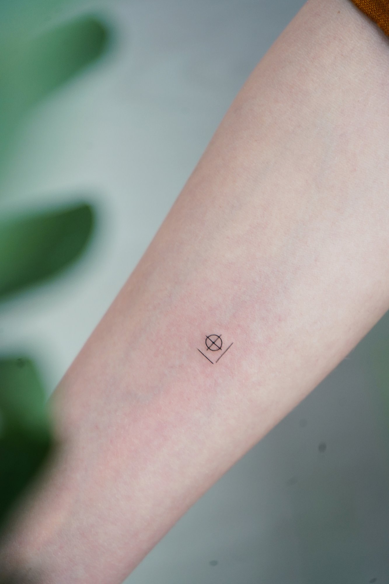 Tatuaje de ramita en zona desconocida, línea fina
