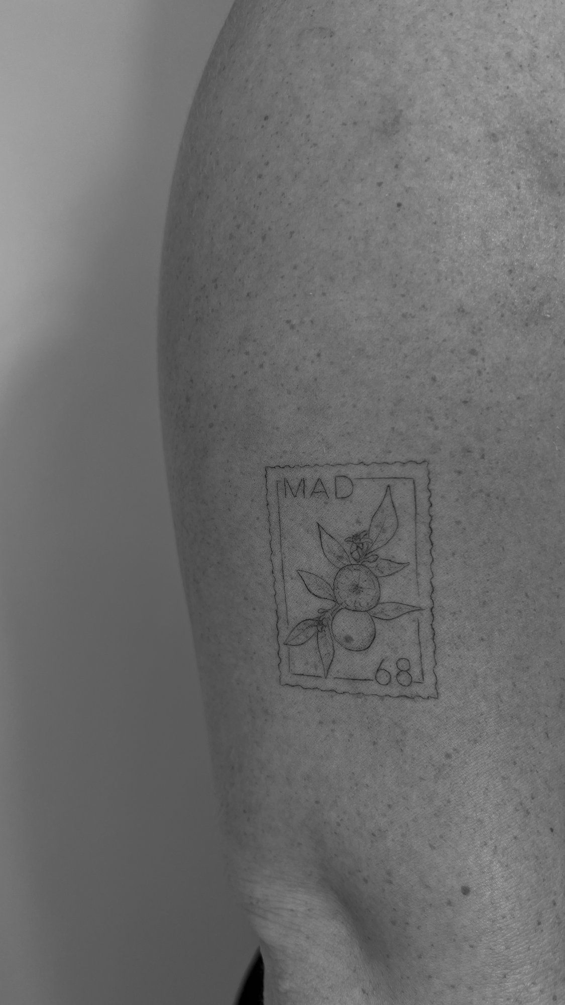 Tatuaje de sello postal naranjas mad68 en brazo, línea fina