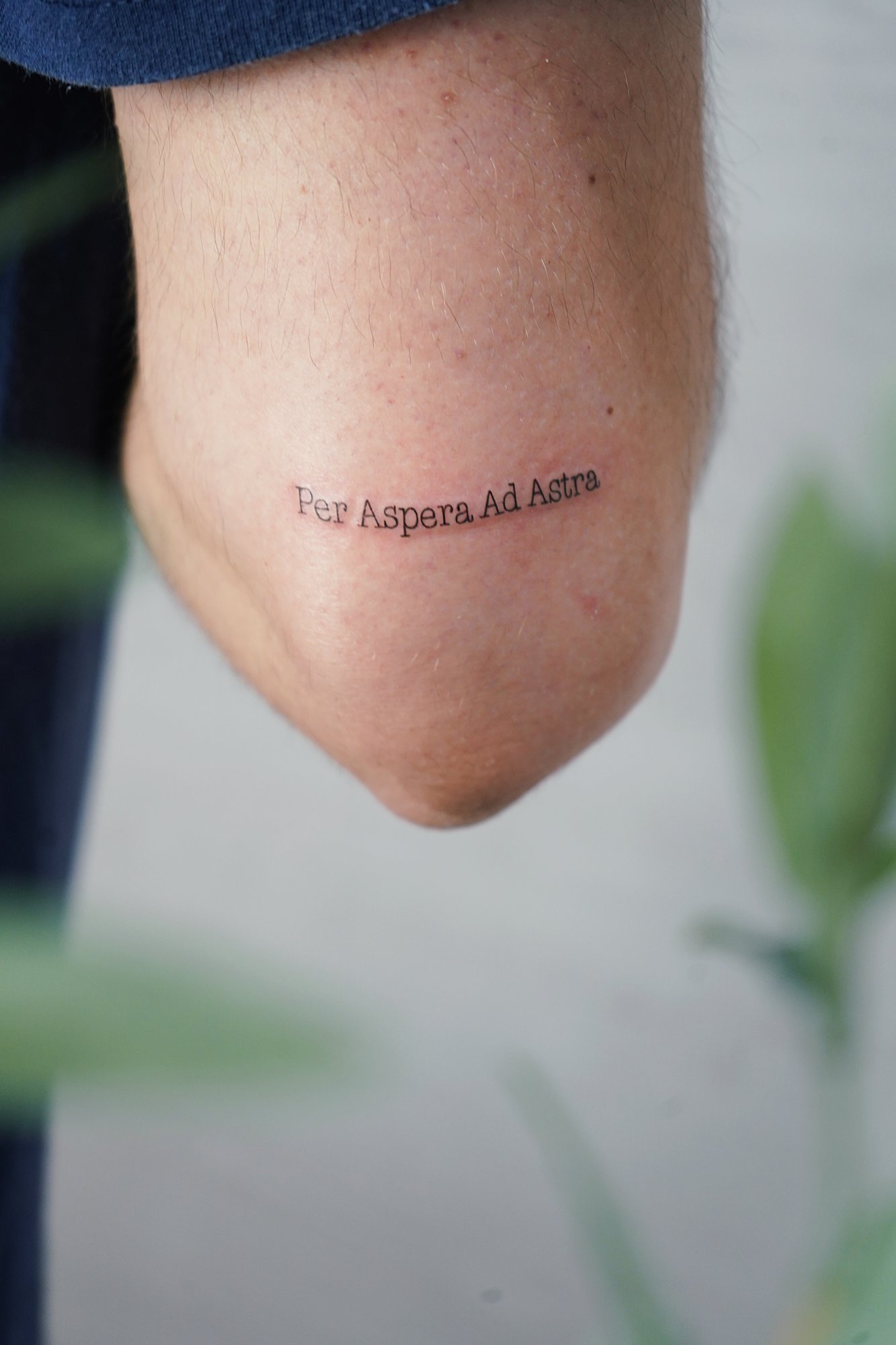 Tatuaje de frase latina en codo, línea fina