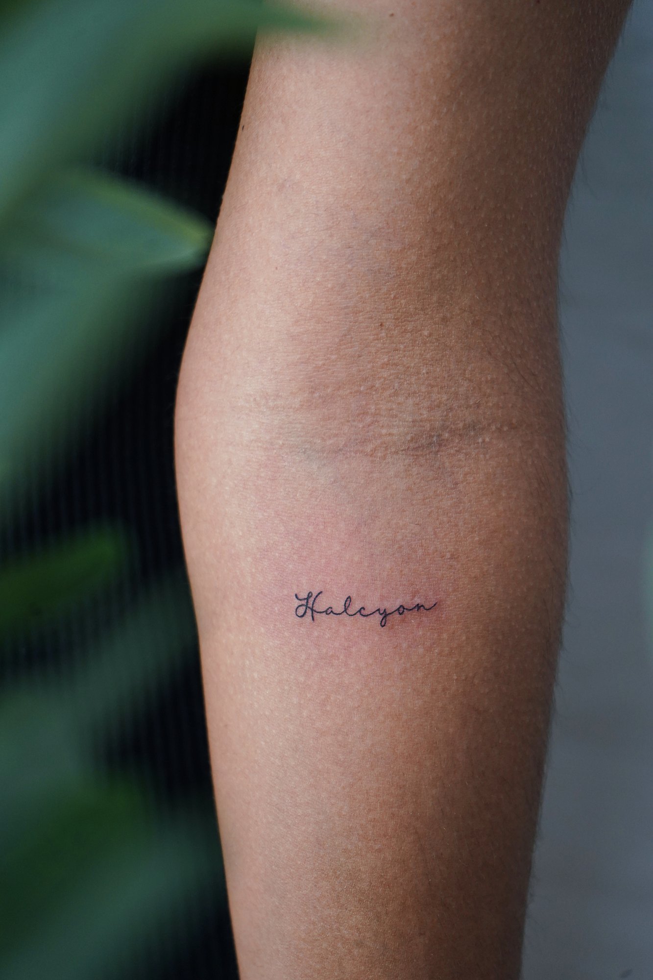 Tatuaje de palabras en antebrazo, línea fina