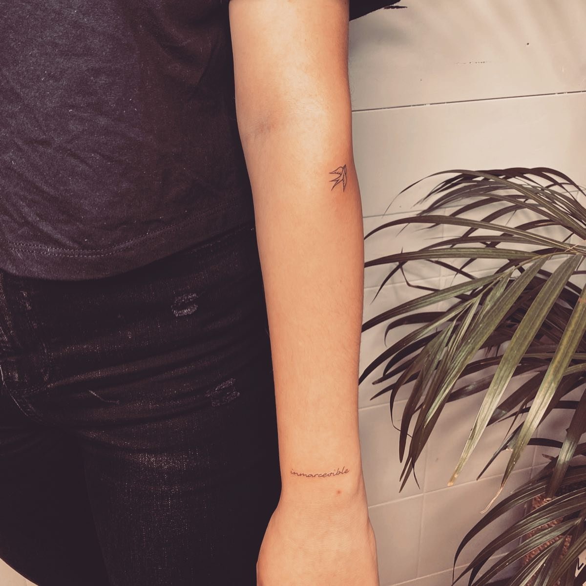 Tatuaje de frase en antebrazo, línea fina Sinkply Madrid