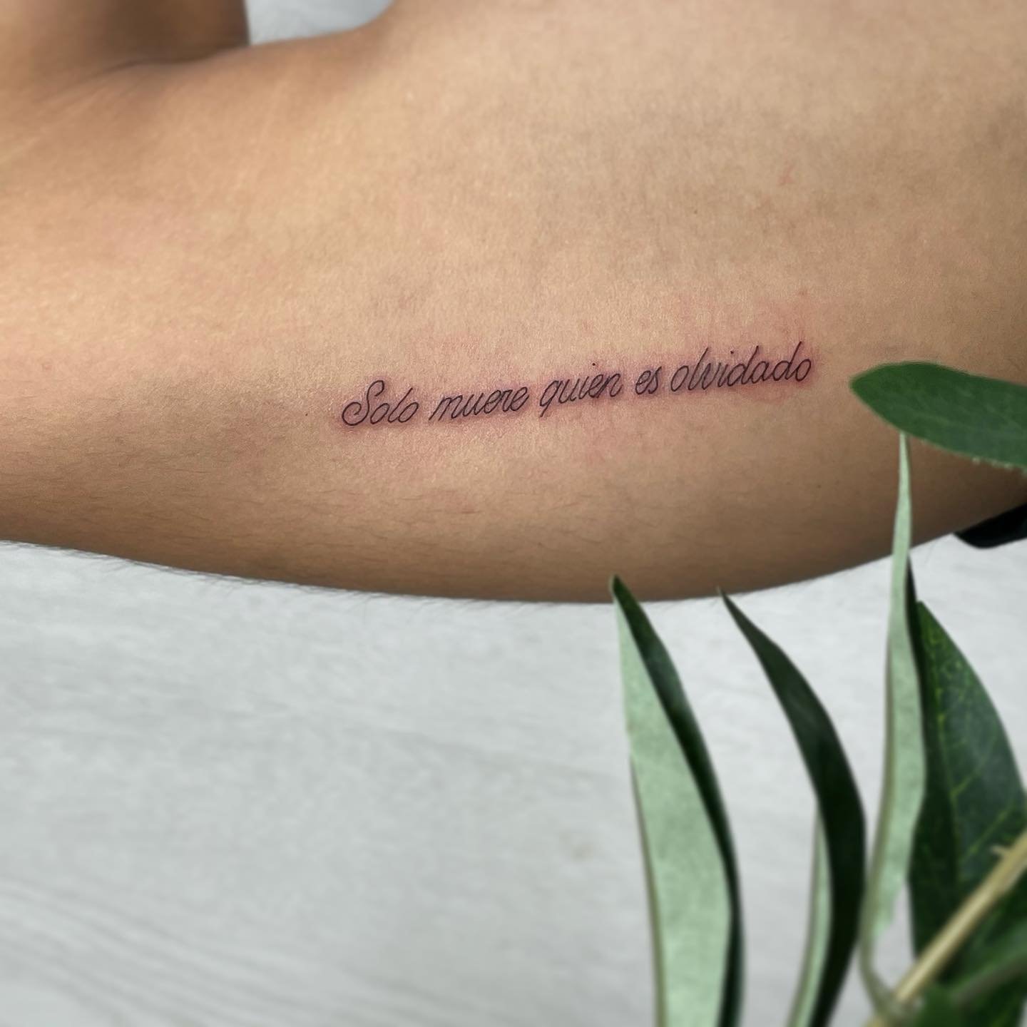 Tatuaje de frase en antebrazo, línea fina Sinkply Madrid