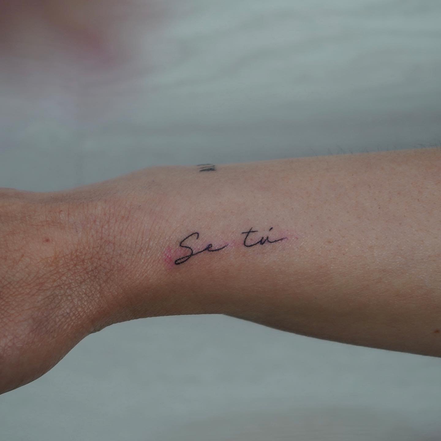 Tatuaje de frase en antebrazo, línea fina Sinkply Madrid