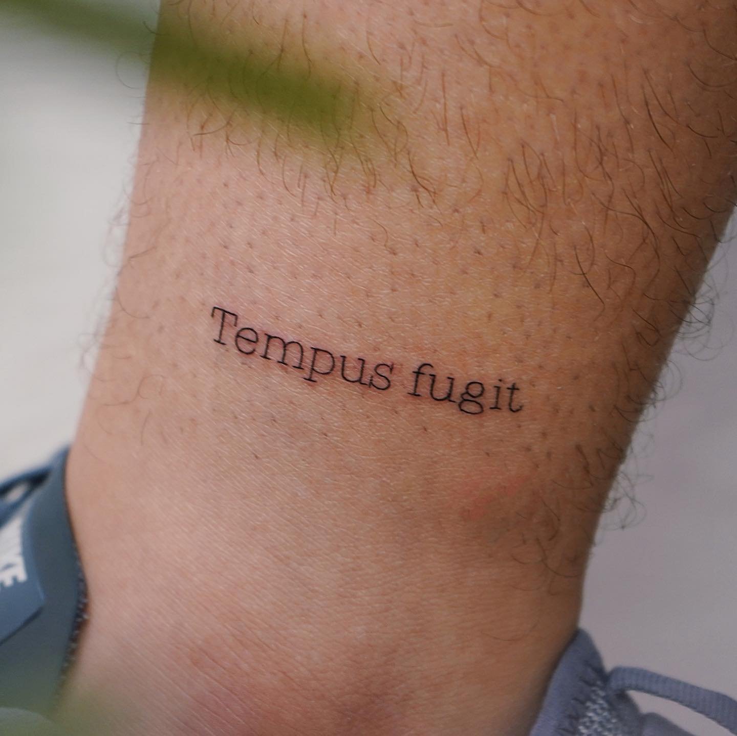 Tatuaje de frase en antebrazo, línea fina Sinkply Madrid