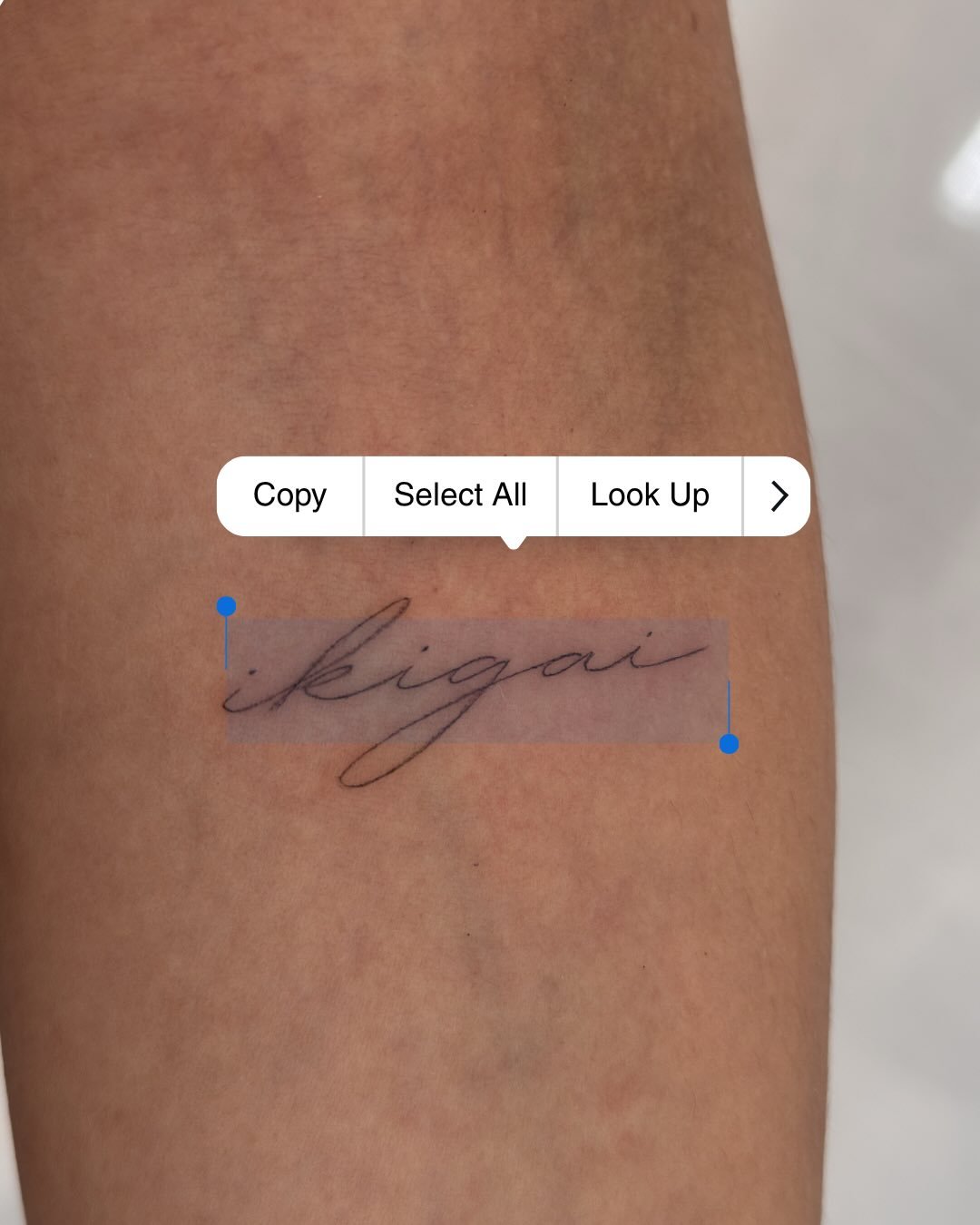 Tatuaje de frase en antebrazo, línea fina Sinkply Madrid