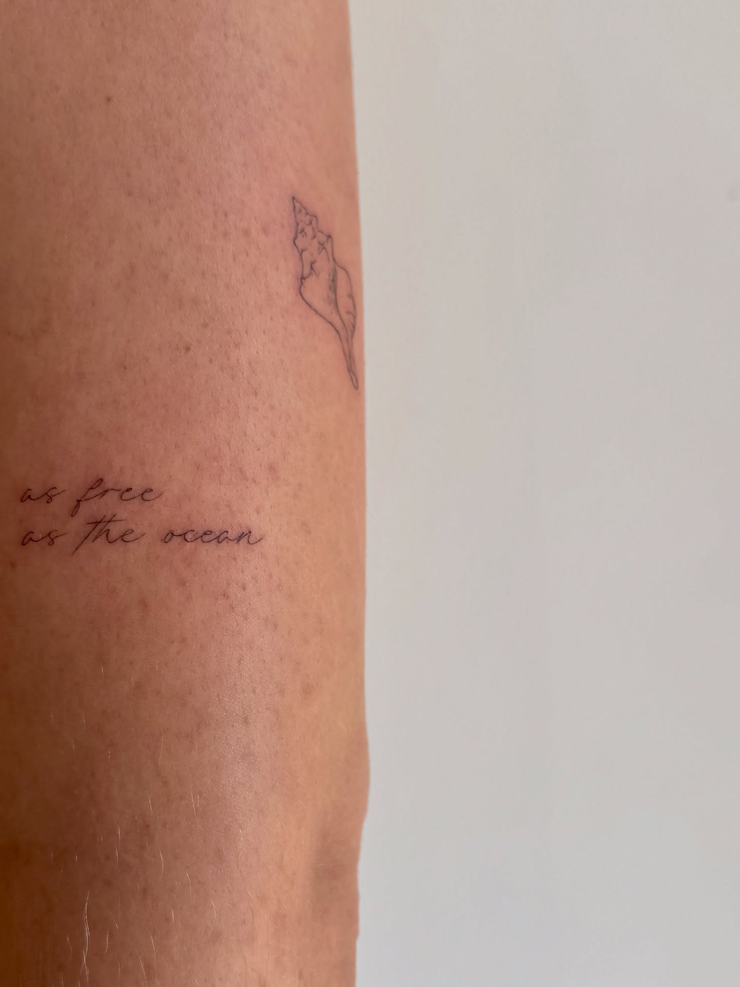 Tatuaje de frase en antebrazo, línea fina Sinkply Madrid