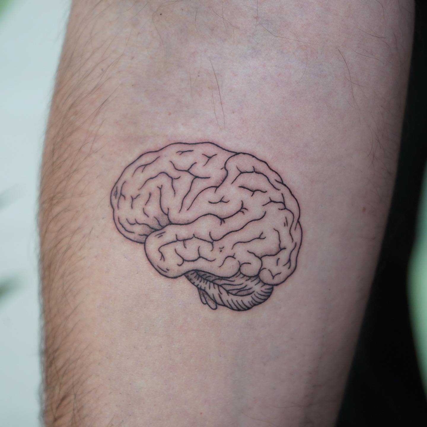 Fineline-Tattoo · Objekt · Unterarm · Sinkply Zürich