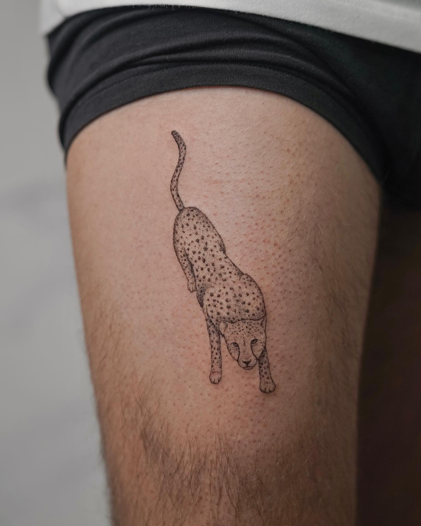 Fineline-Tattoo · Objekt · Oberschenkel · Sinkply Zürich