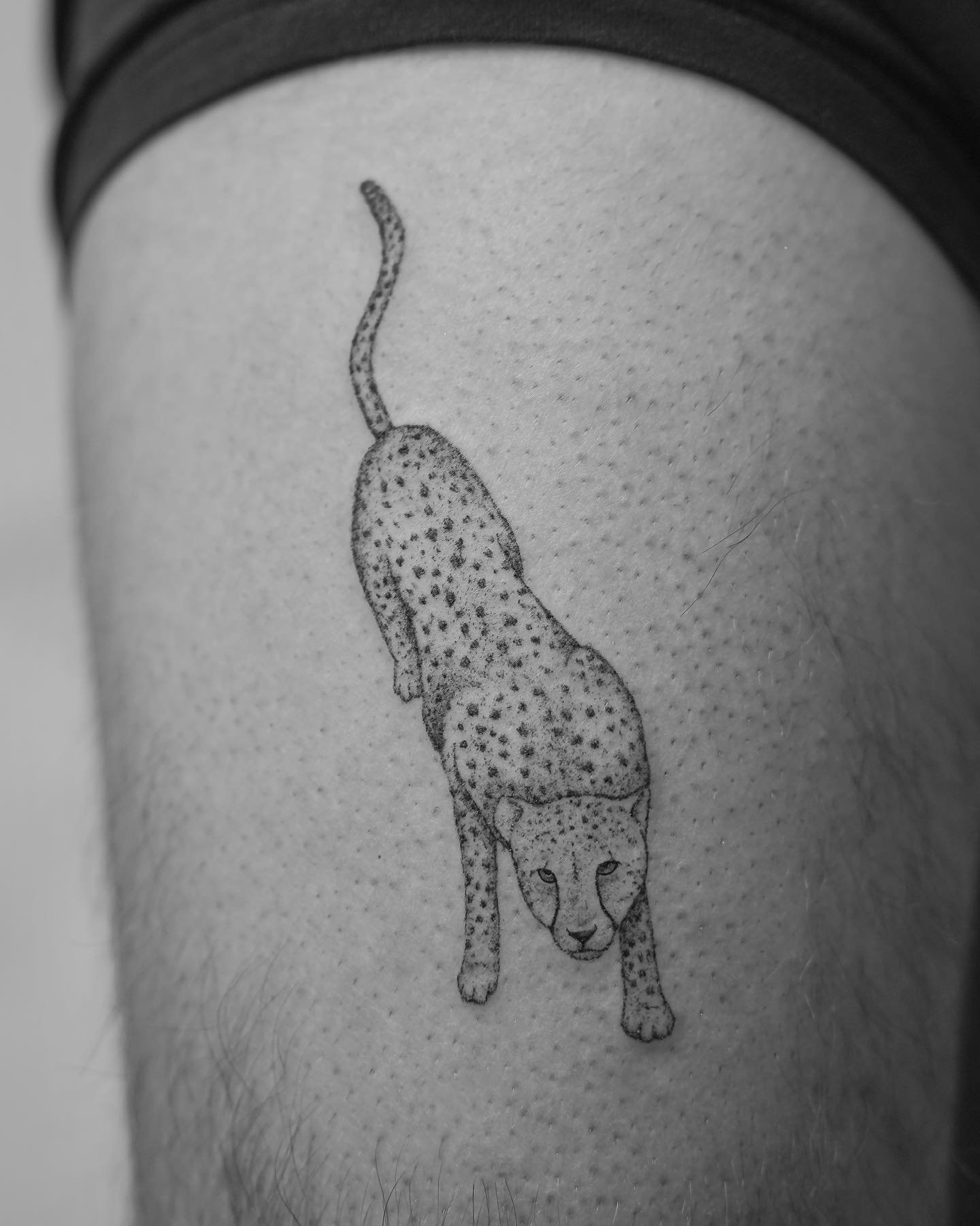 Tatuaje de diseño en pierna, línea fina Sinkply Madrid