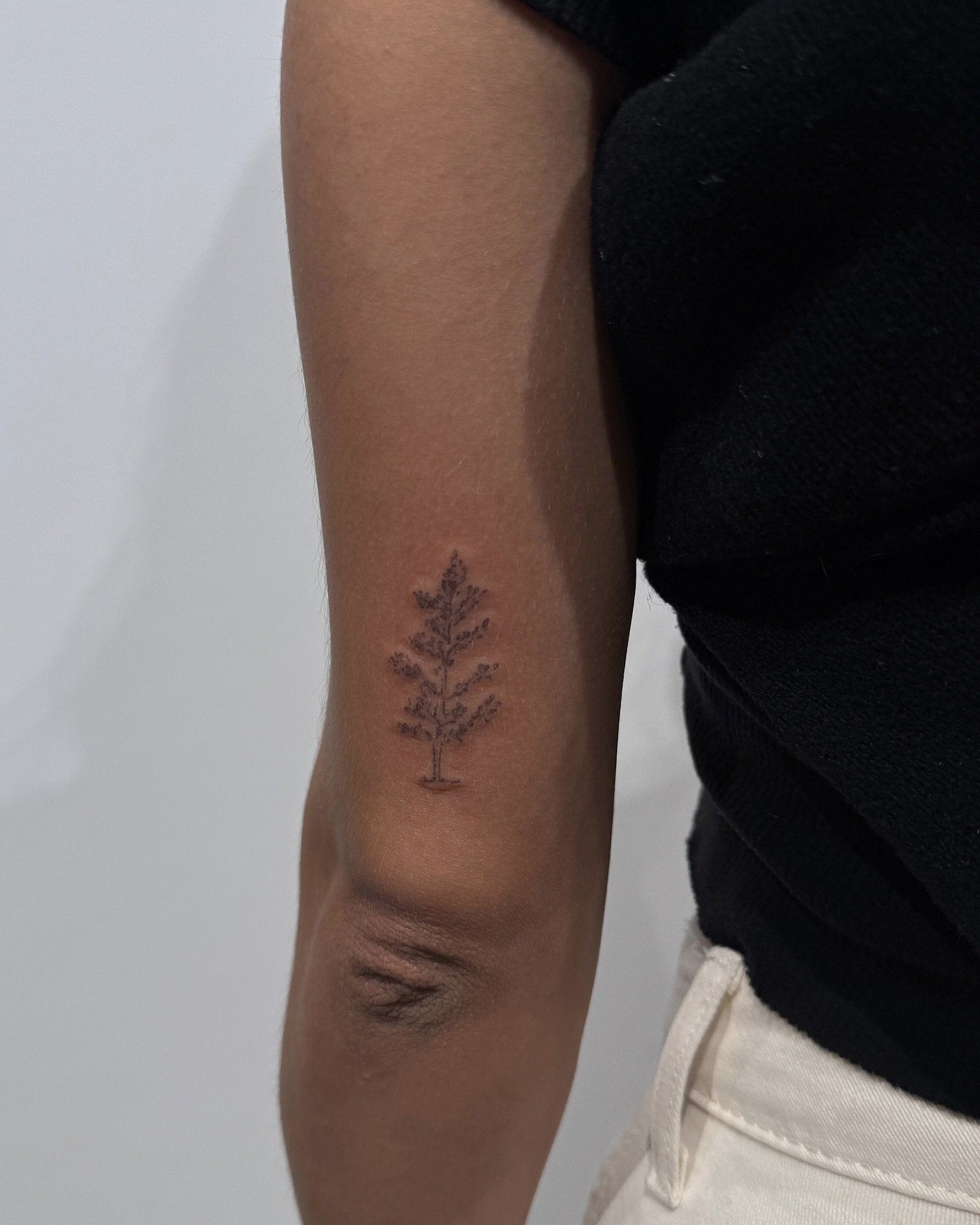 Tatuaje de paisaje en antebrazo, línea fina Sinkply Madrid