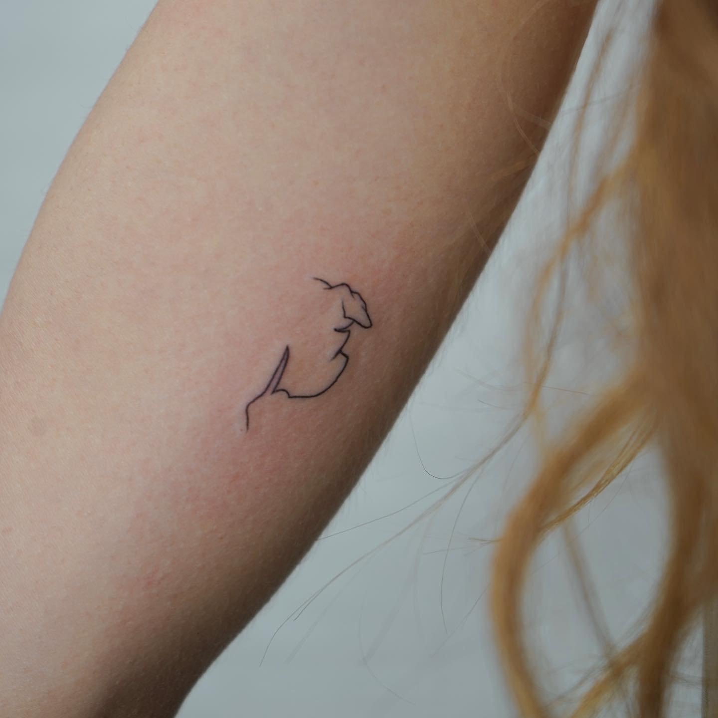 Tatuaje de retrato en antebrazo, línea fina Sinkply Madrid