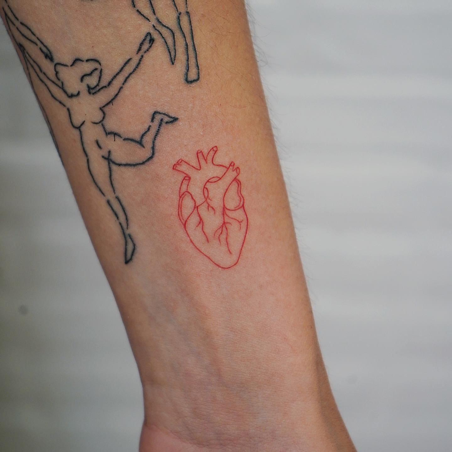 Tatuaje de corazon en antebrazo, línea fina Sinkply Madrid