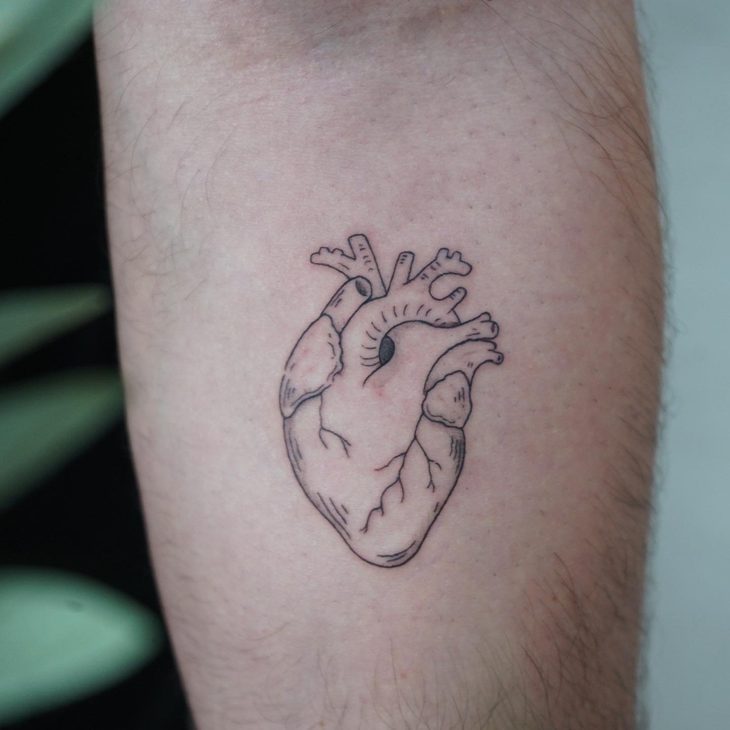 Tatuaje de corazon en antebrazo, línea fina Sinkply Madrid