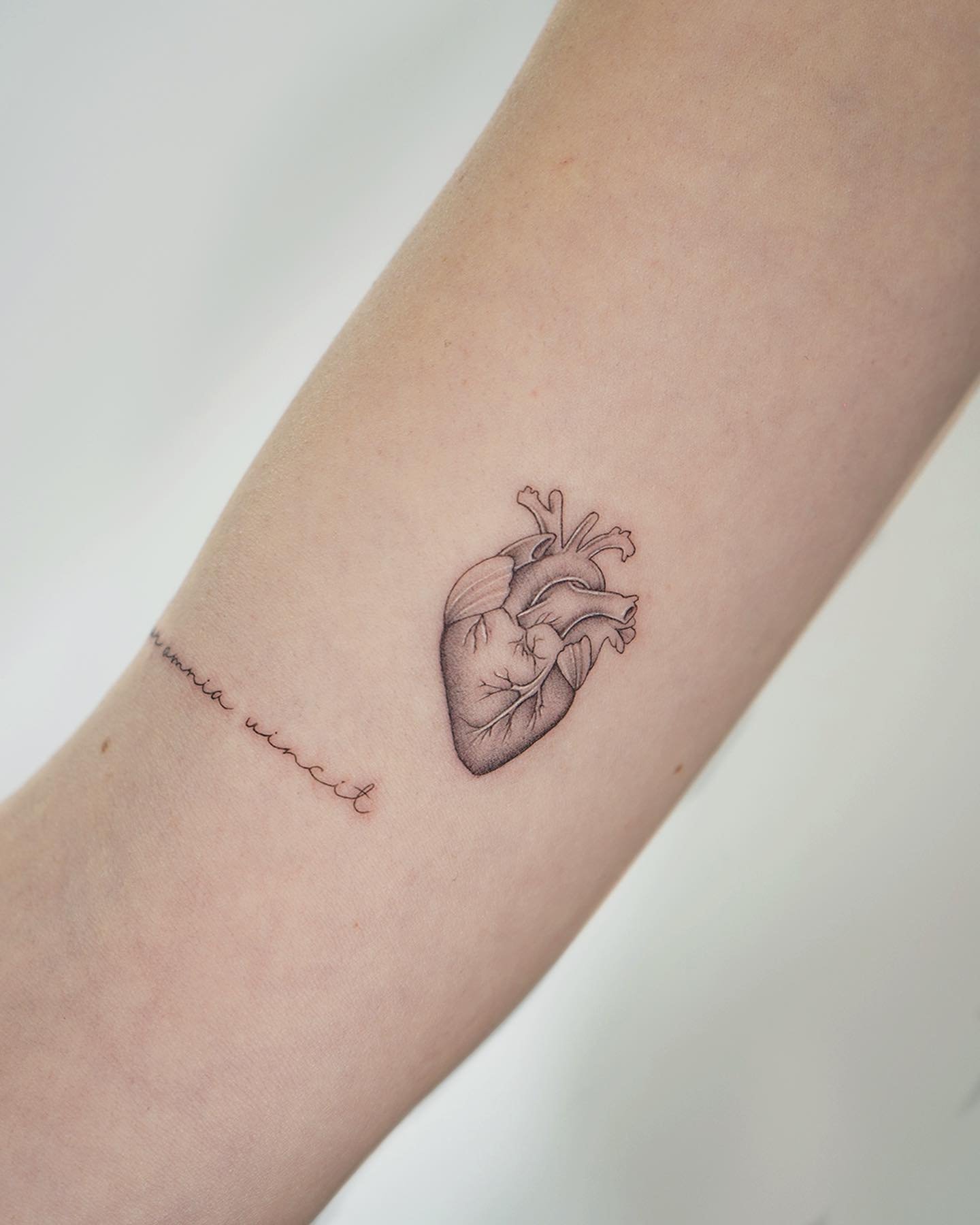 Tatuaje de corazon en antebrazo, línea fina Sinkply Madrid